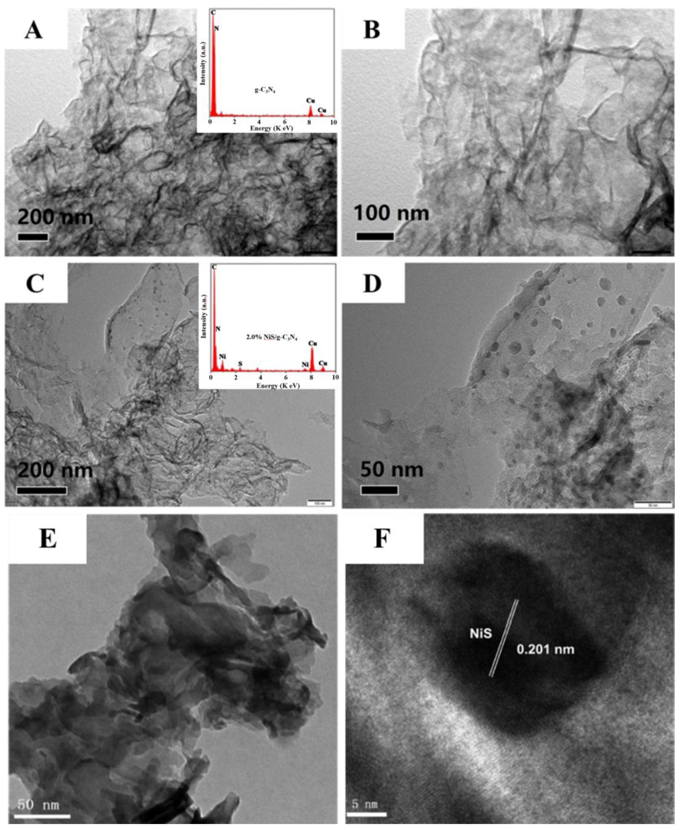 Catalysts 15 00599 g002