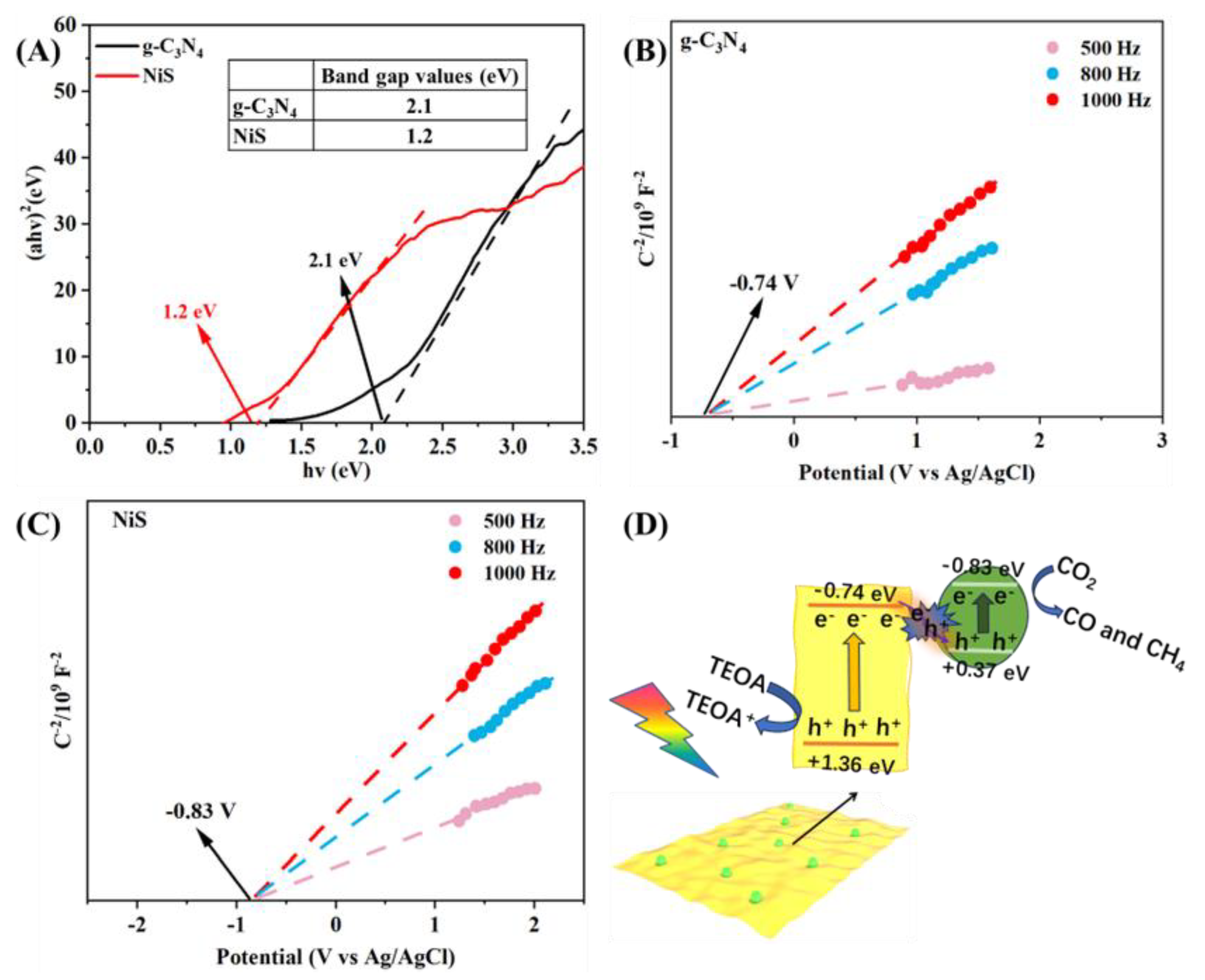 Catalysts 15 00599 g009
