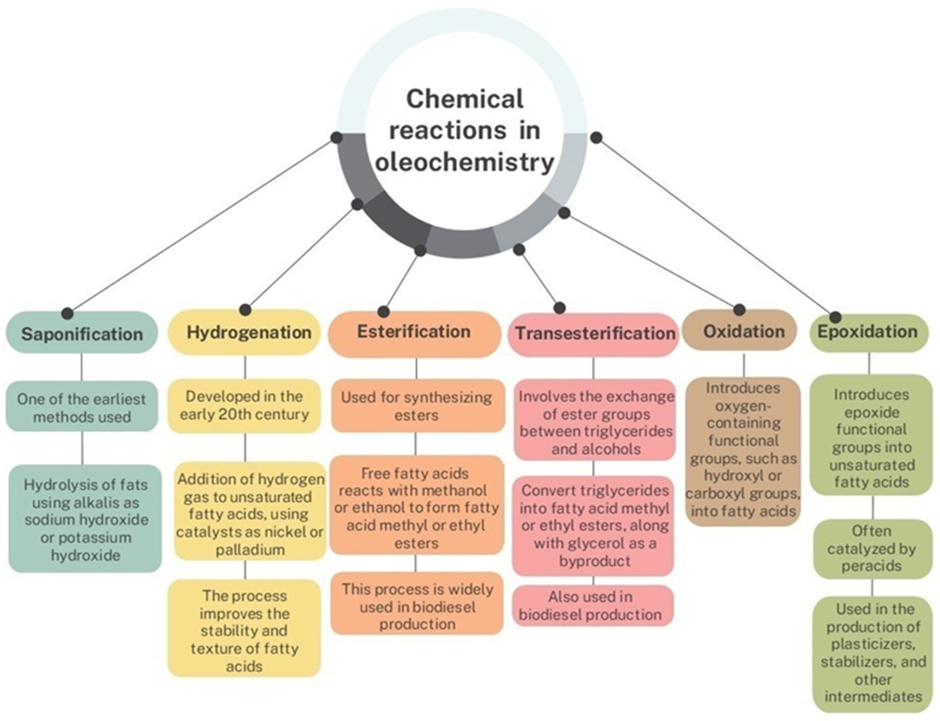 Catalysts 15 00600 g001