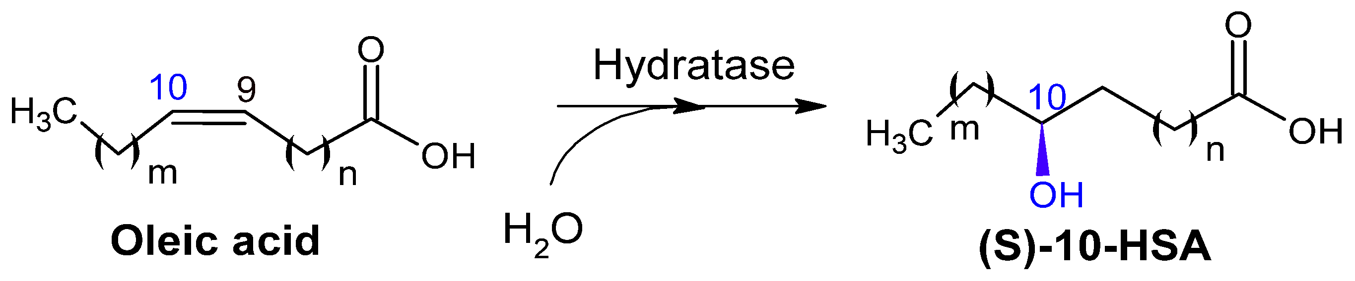Catalysts 15 00600 g002