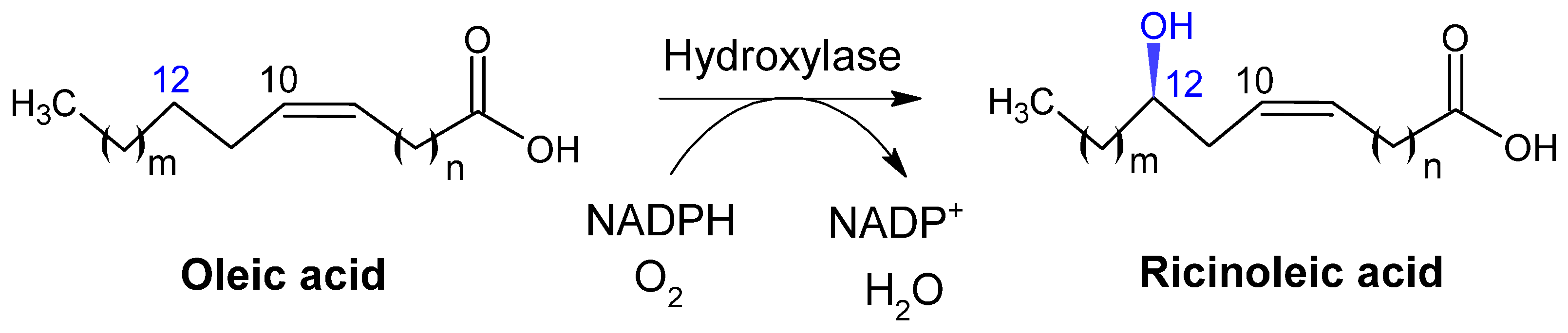 Catalysts 15 00600 g003