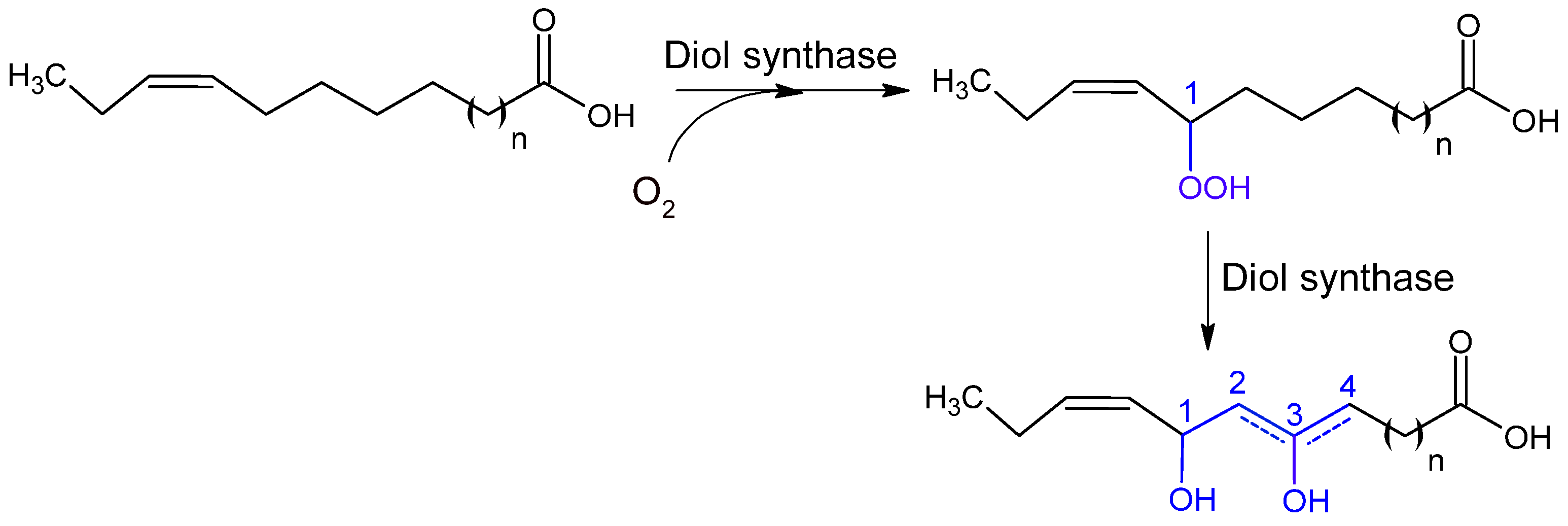 Catalysts 15 00600 g005