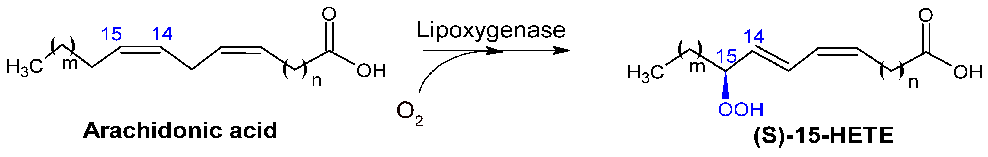 Catalysts 15 00600 g006