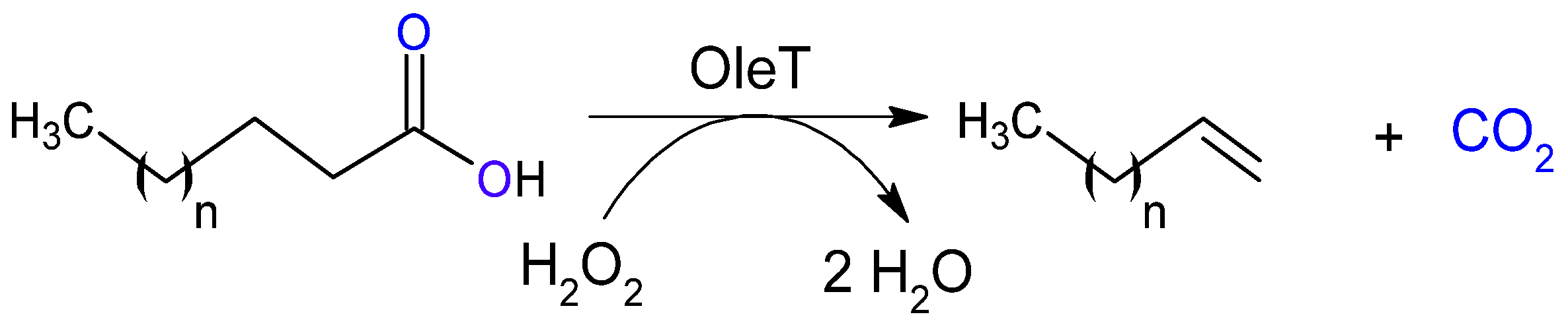 Catalysts 15 00600 g008