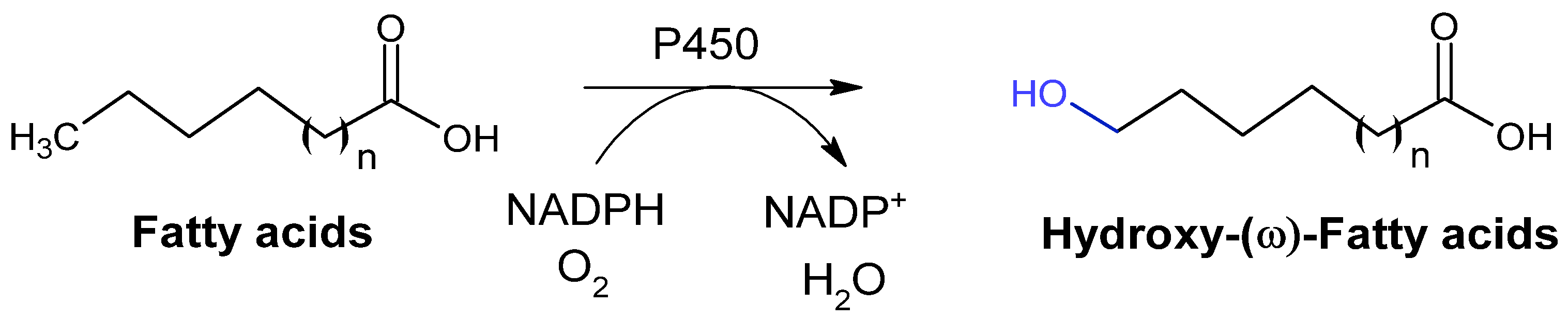 Catalysts 15 00600 g010