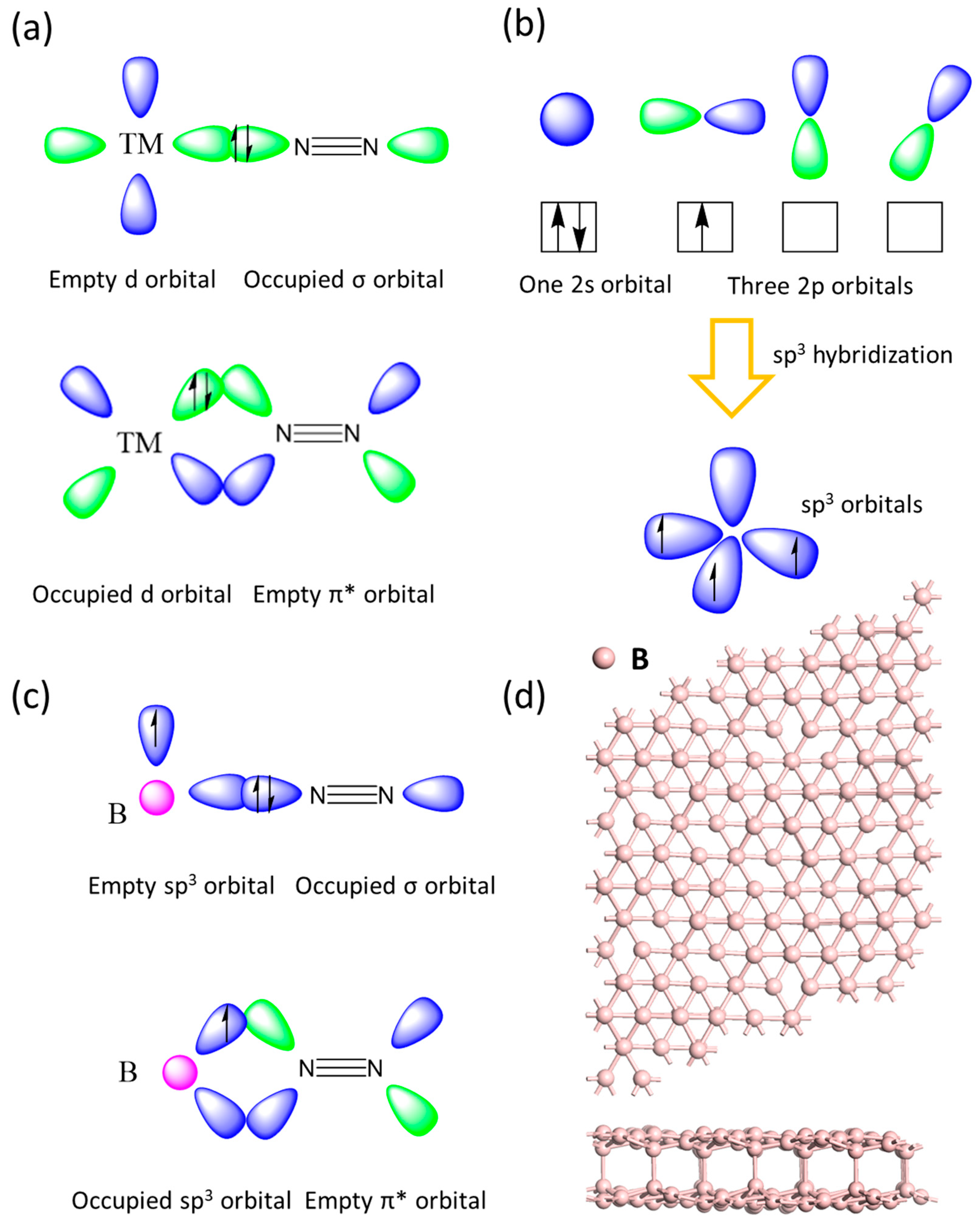 Catalysts 15 00603 g001
