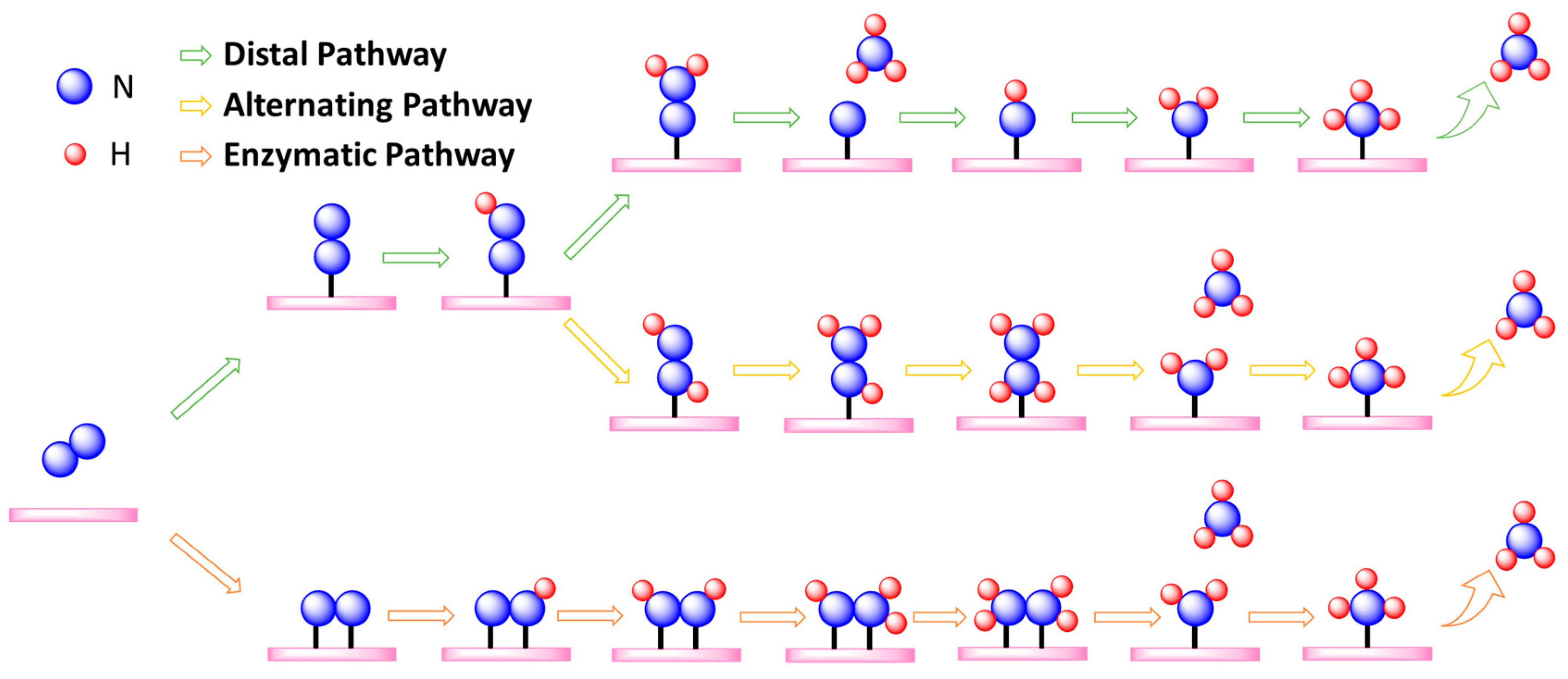 Catalysts 15 00603 g002