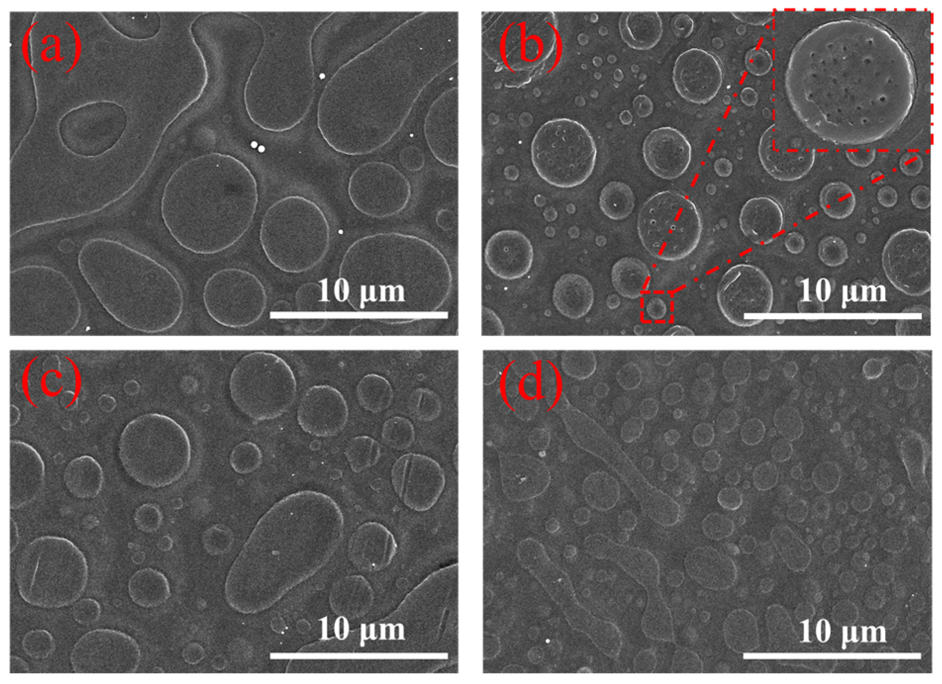 Catalysts 15 00604 g001