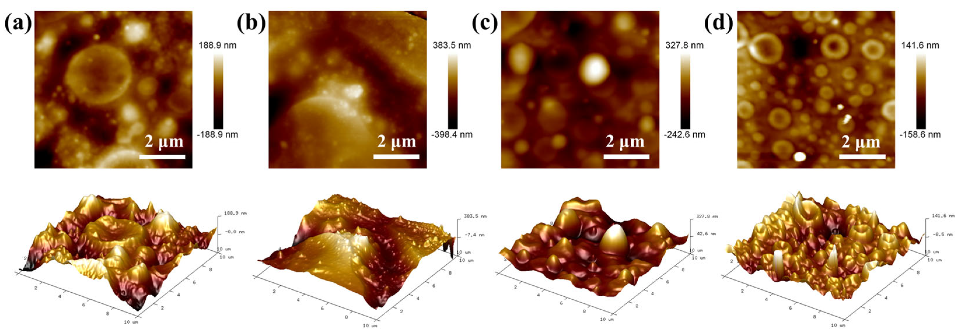 Catalysts 15 00604 g004