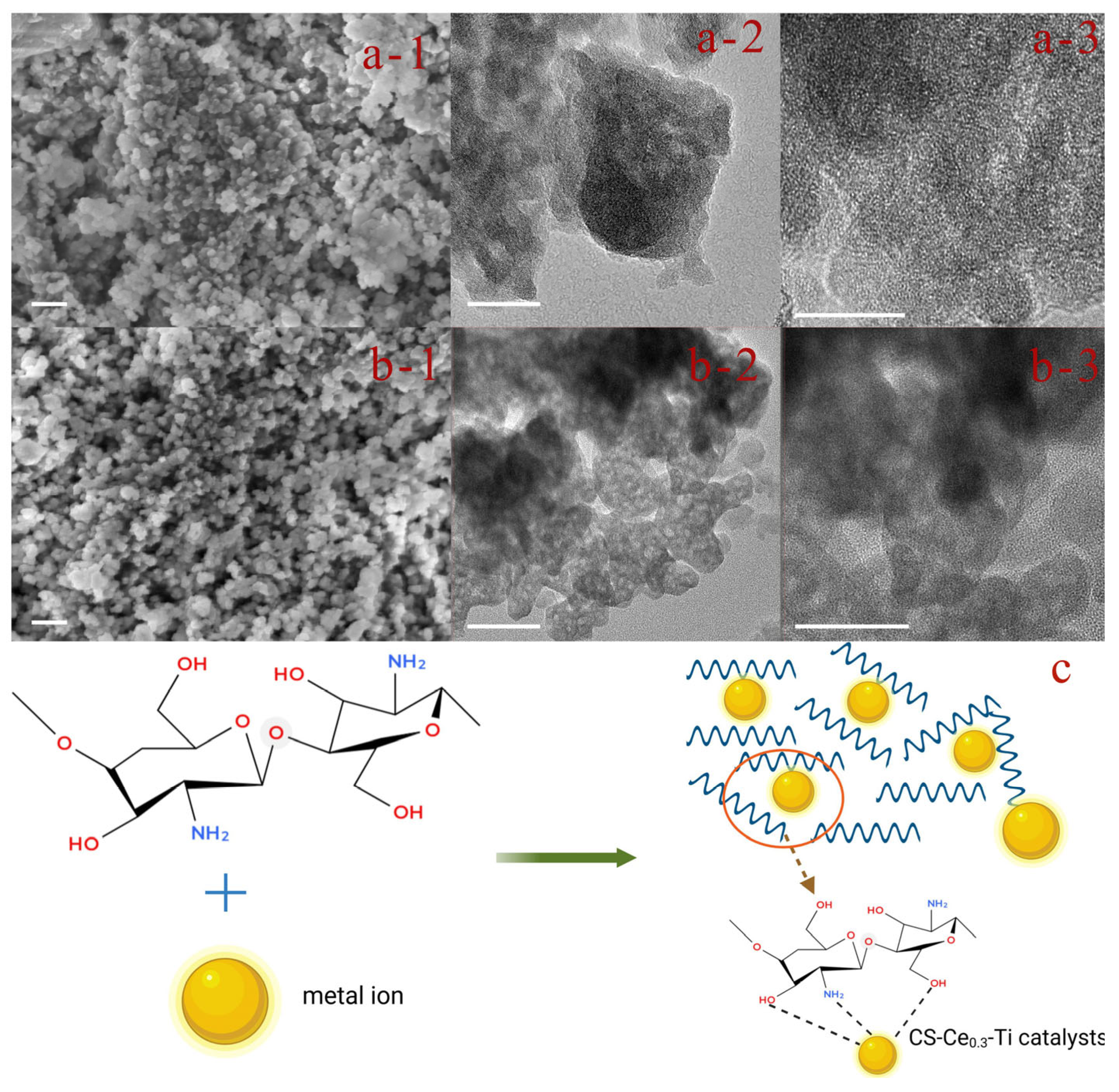 Catalysts 15 00606 g002