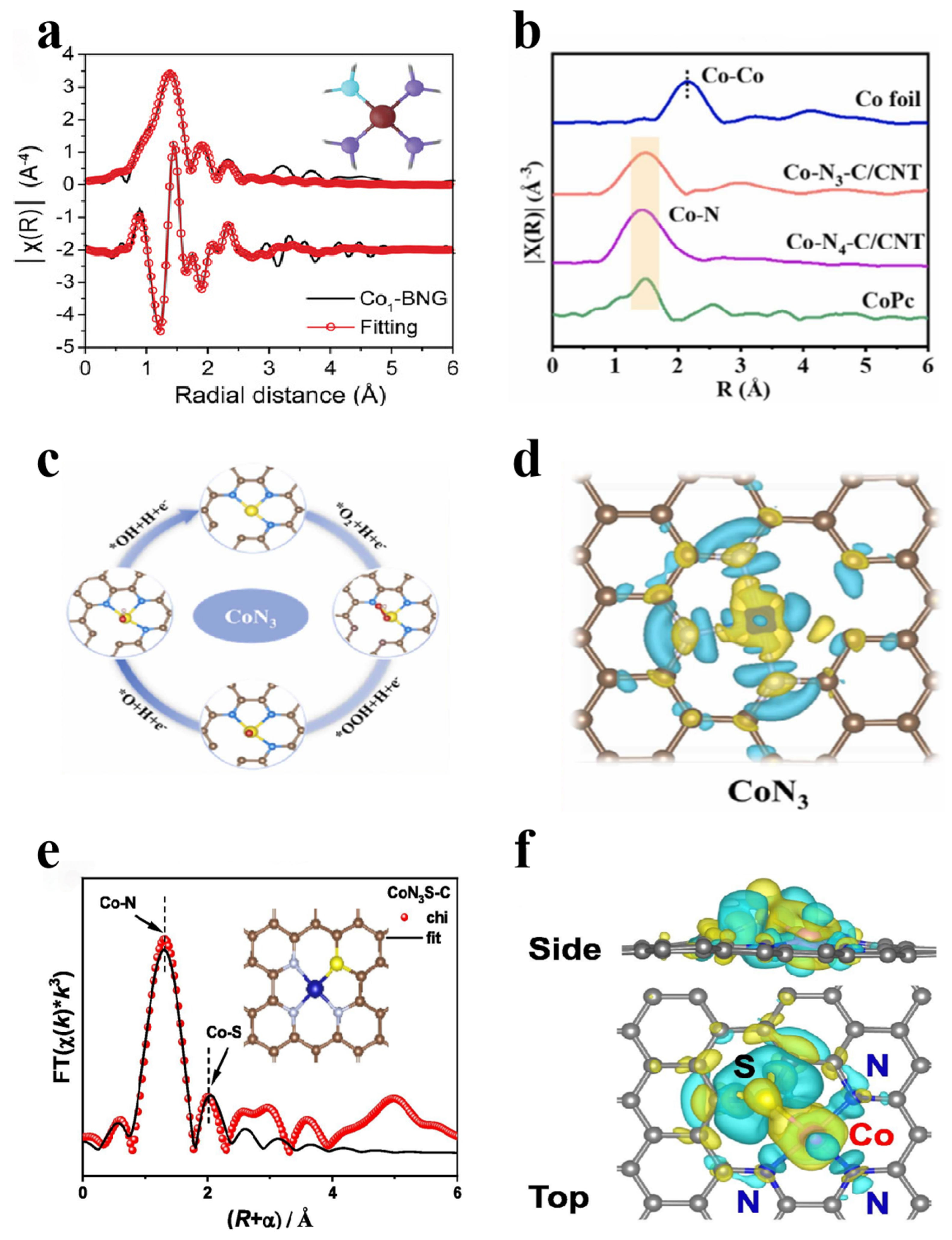 Catalysts 15 00615 g007