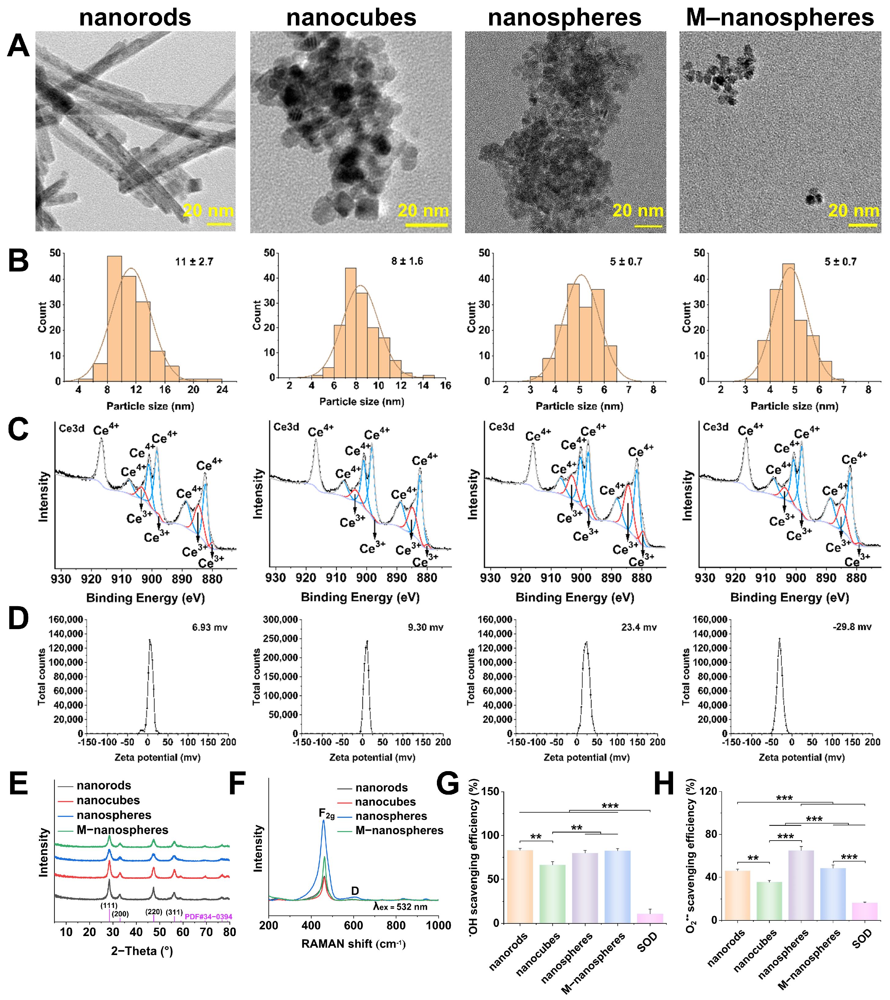 Catalysts 15 00617 g001