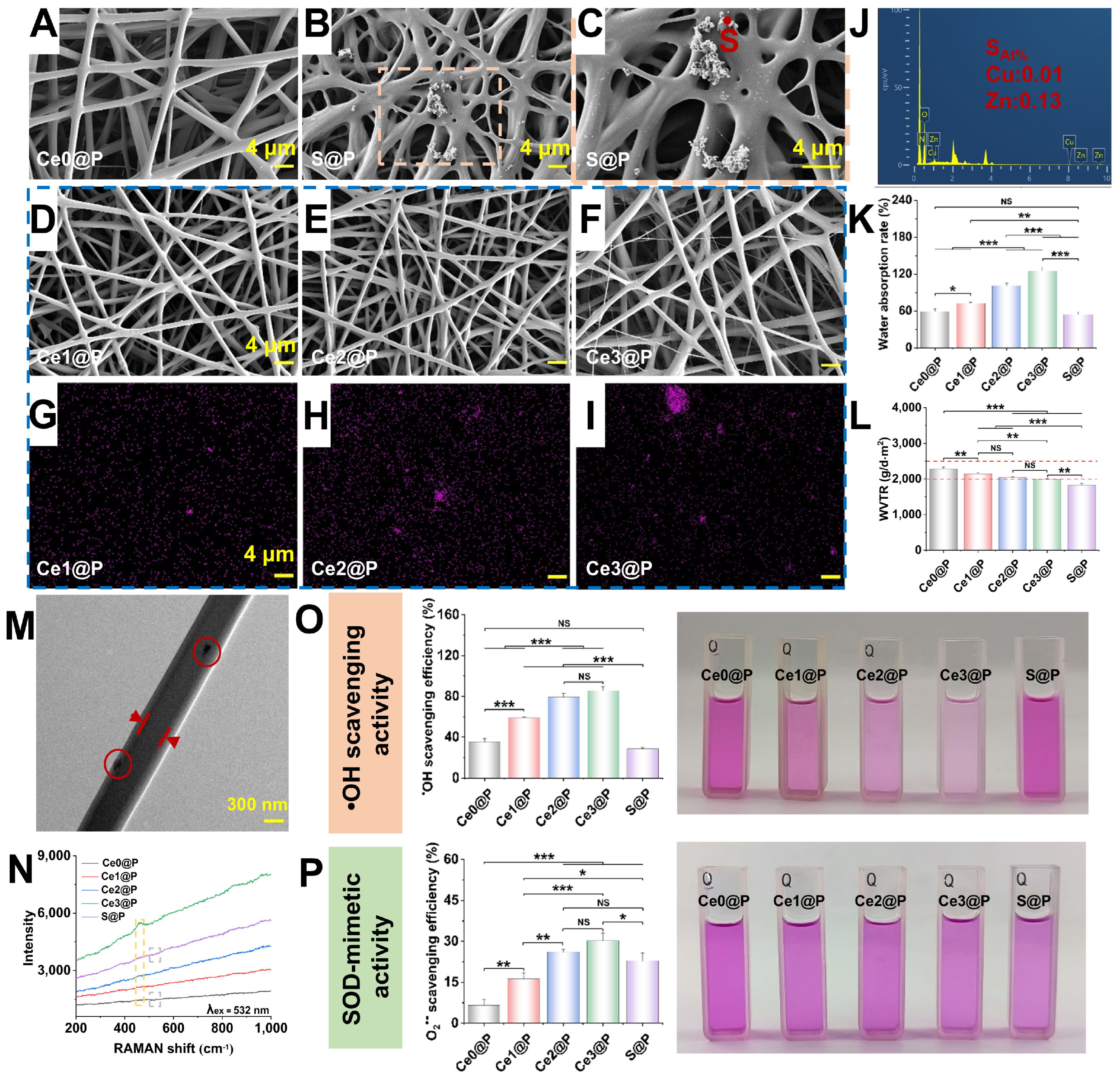 Catalysts 15 00617 g002