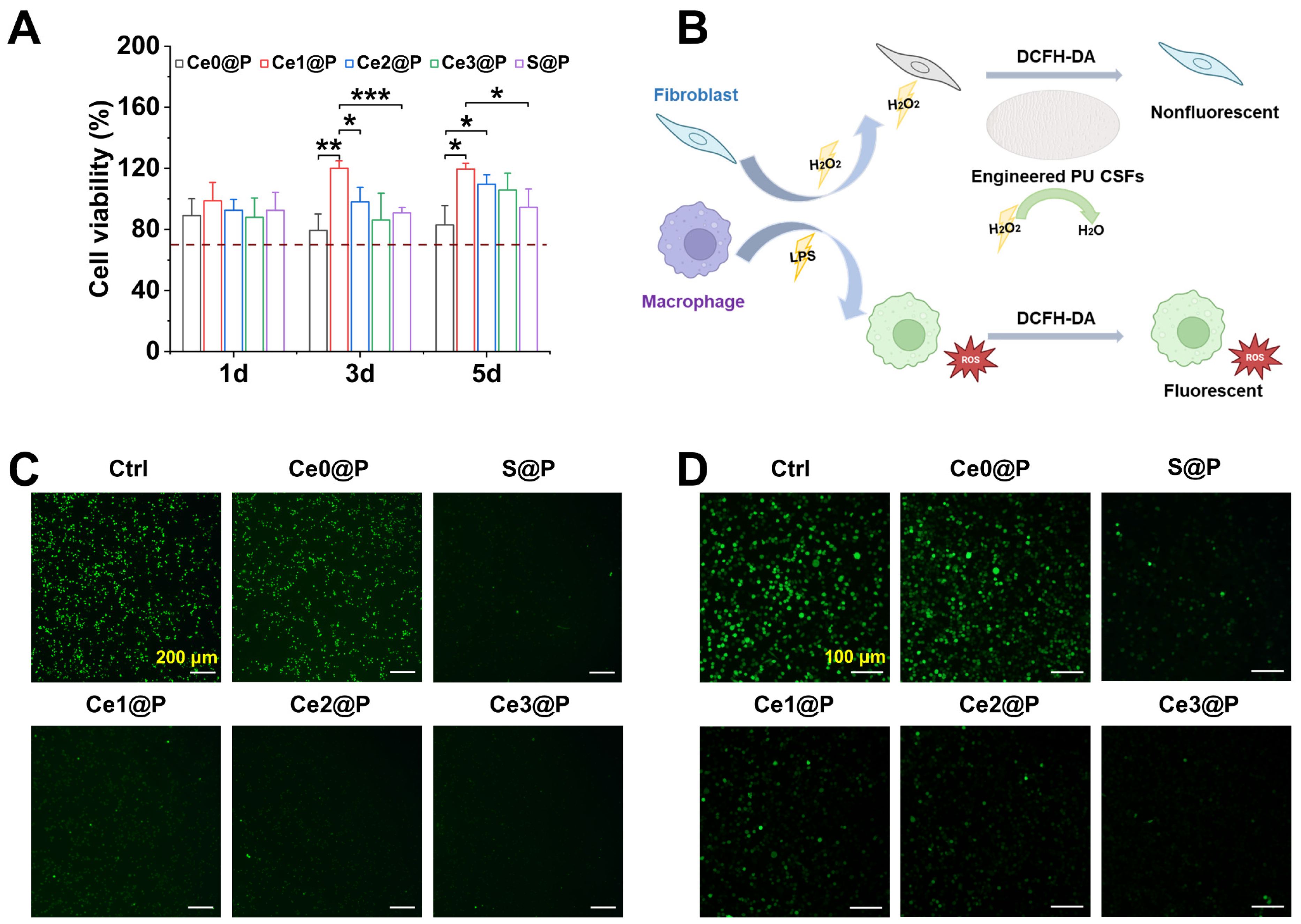 Catalysts 15 00617 g003