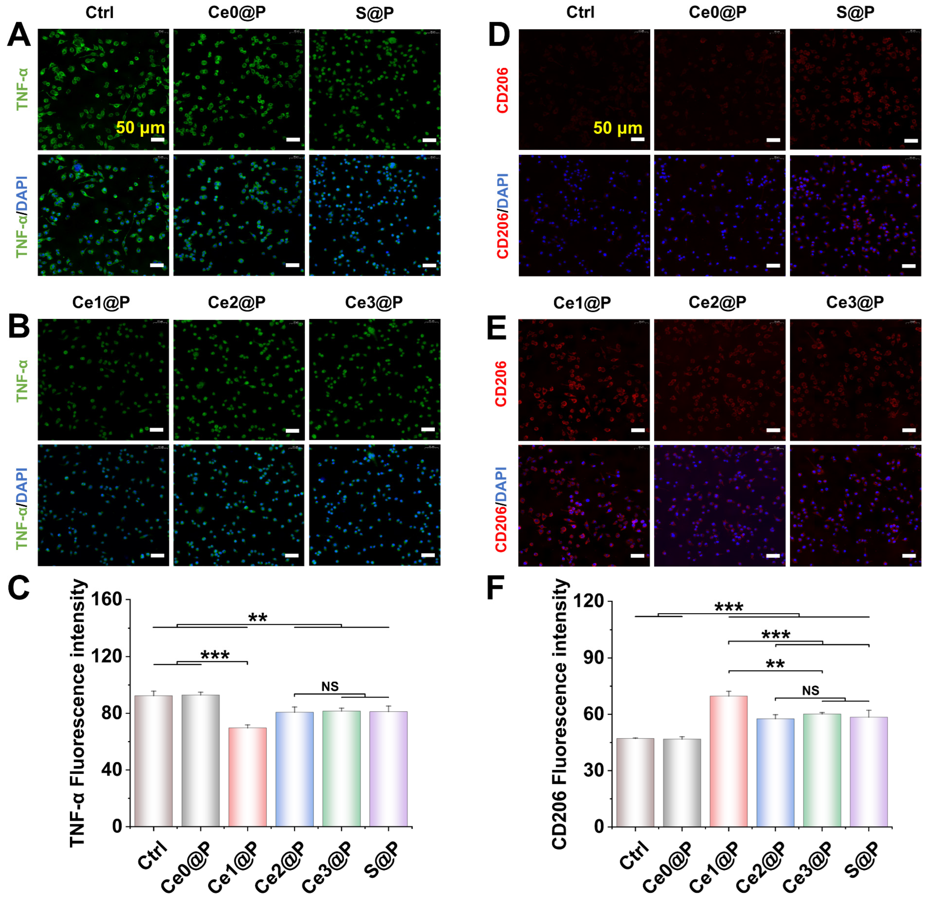 Catalysts 15 00617 g004