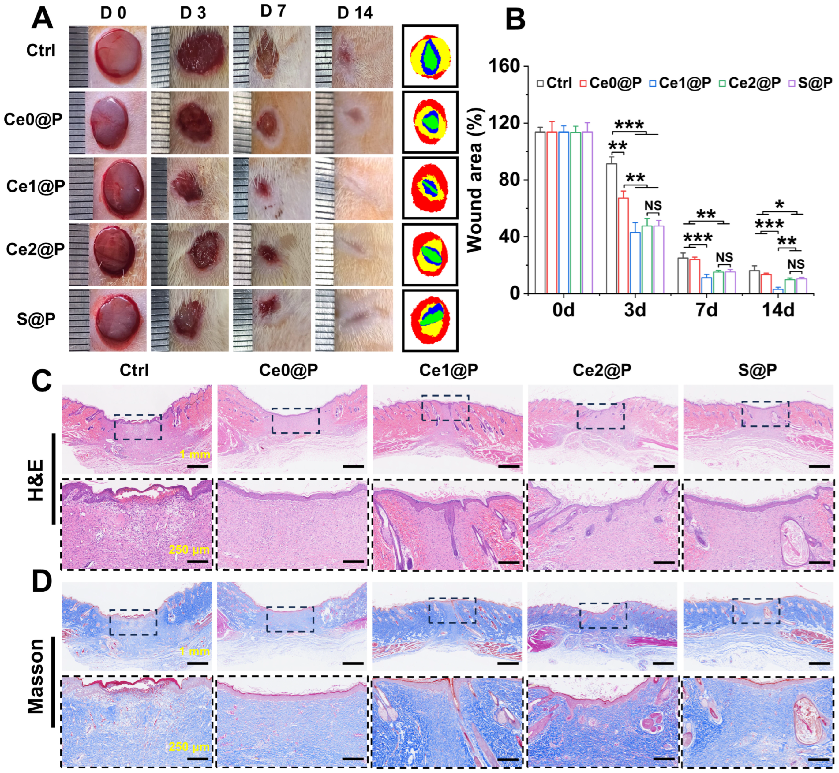 Catalysts 15 00617 g005