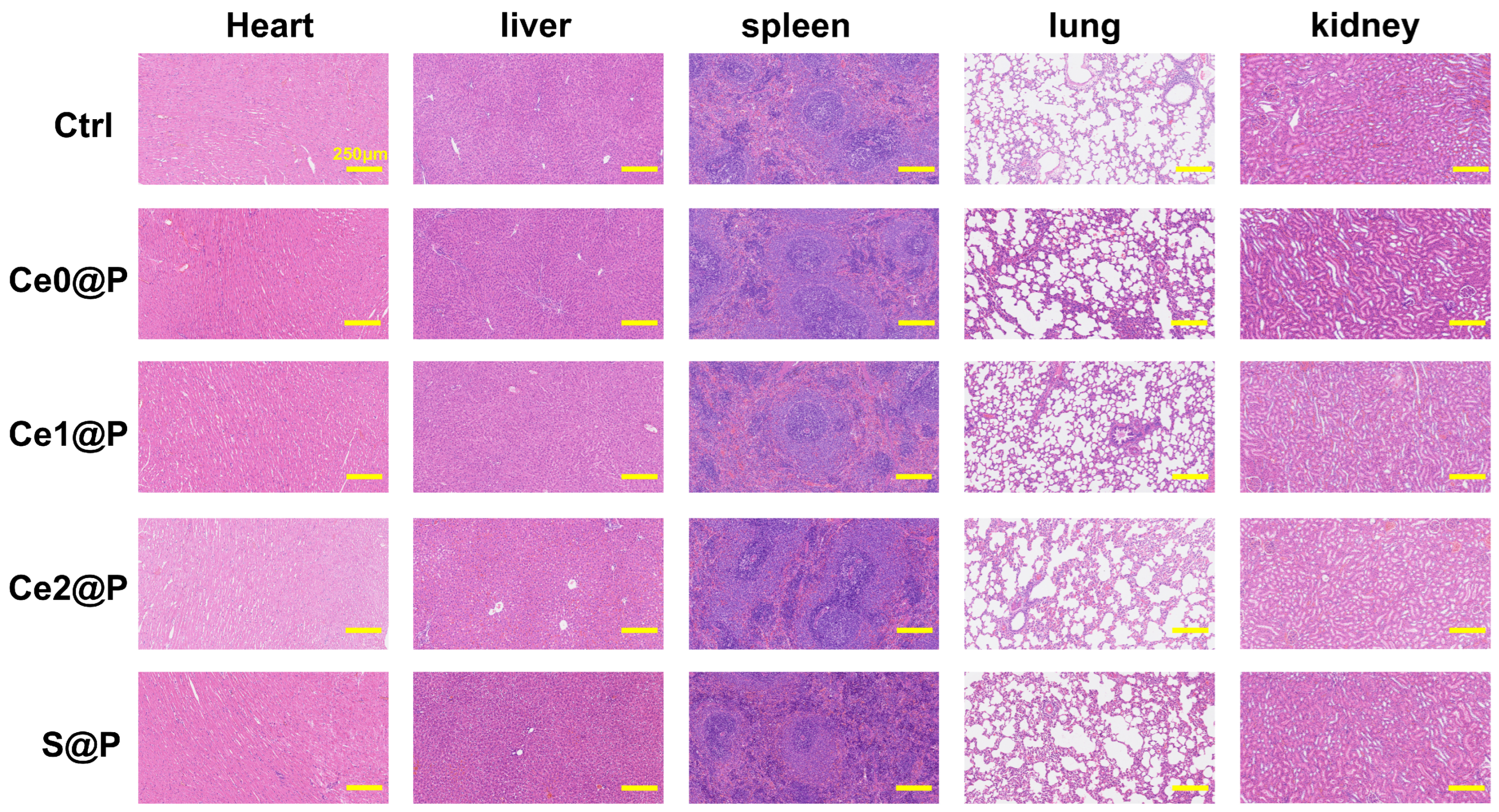 Catalysts 15 00617 g007