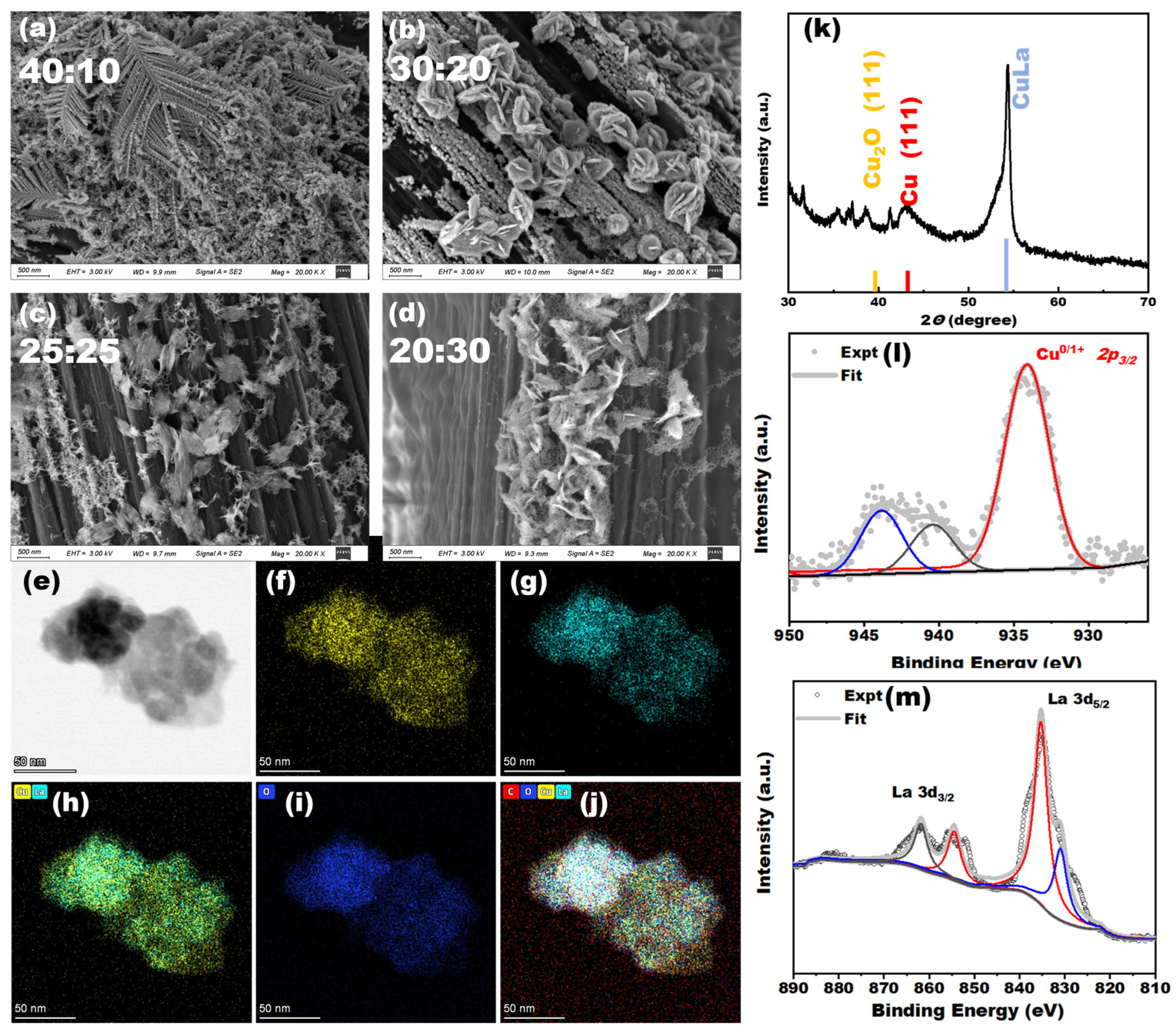 Catalysts 15 00623 g002