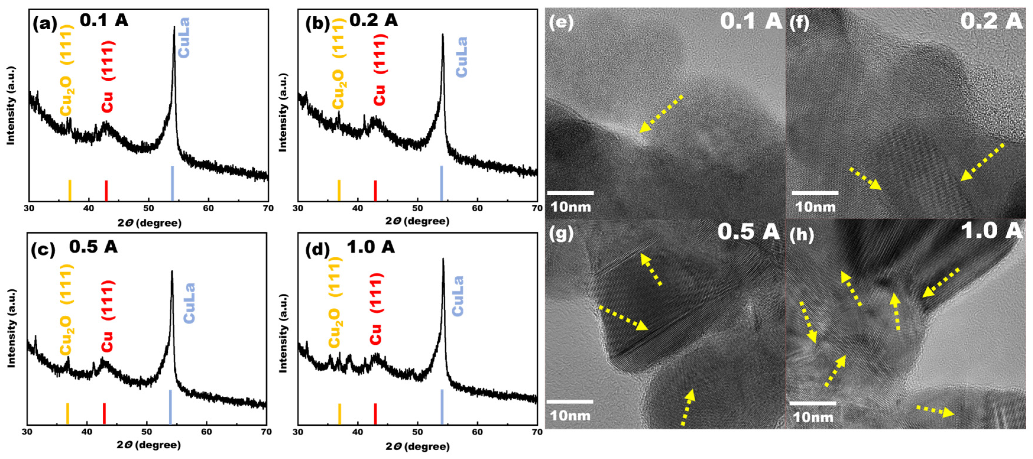 Catalysts 15 00623 g007