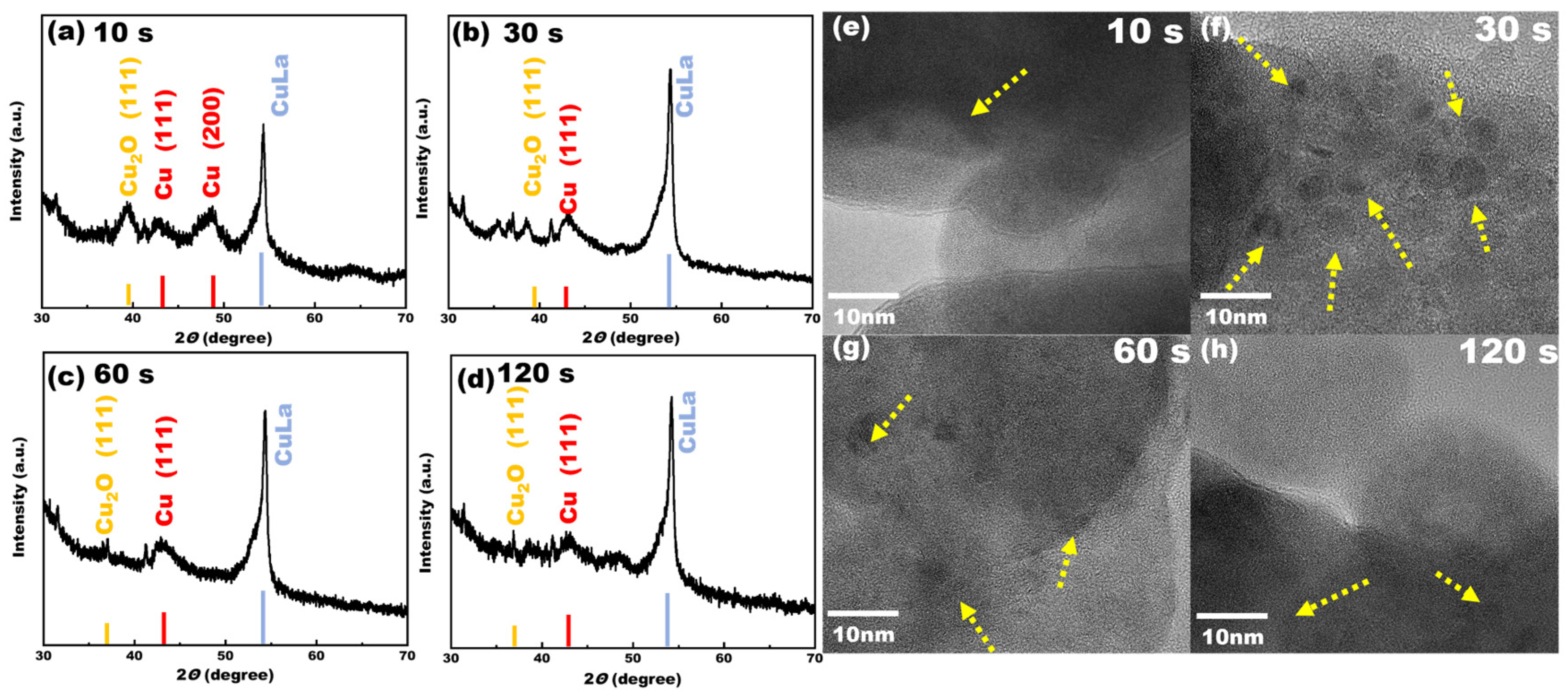 Catalysts 15 00623 g009