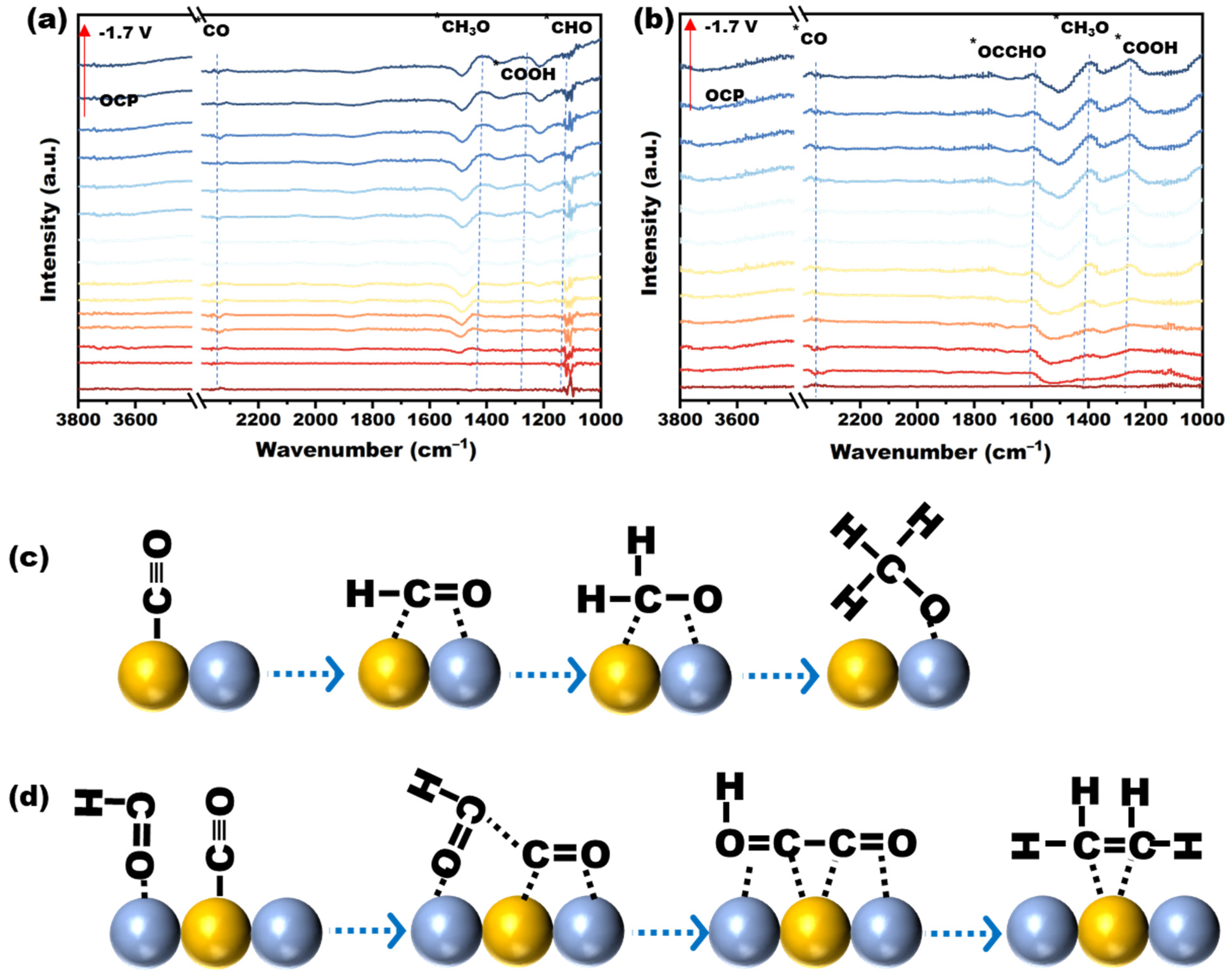 Catalysts 15 00623 g010
