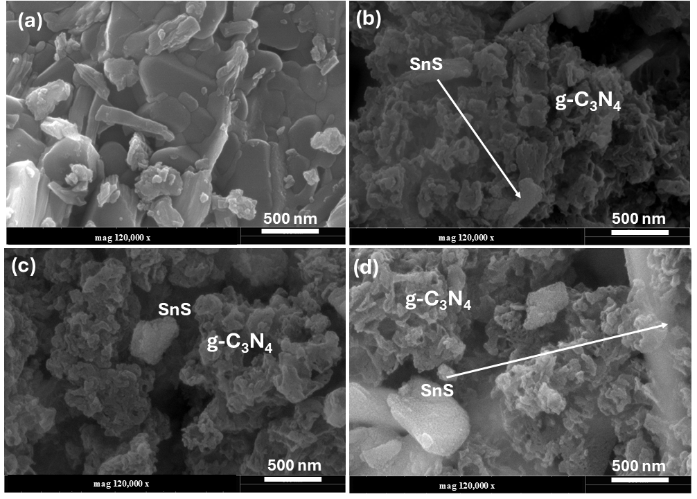Catalysts 15 00629 g003