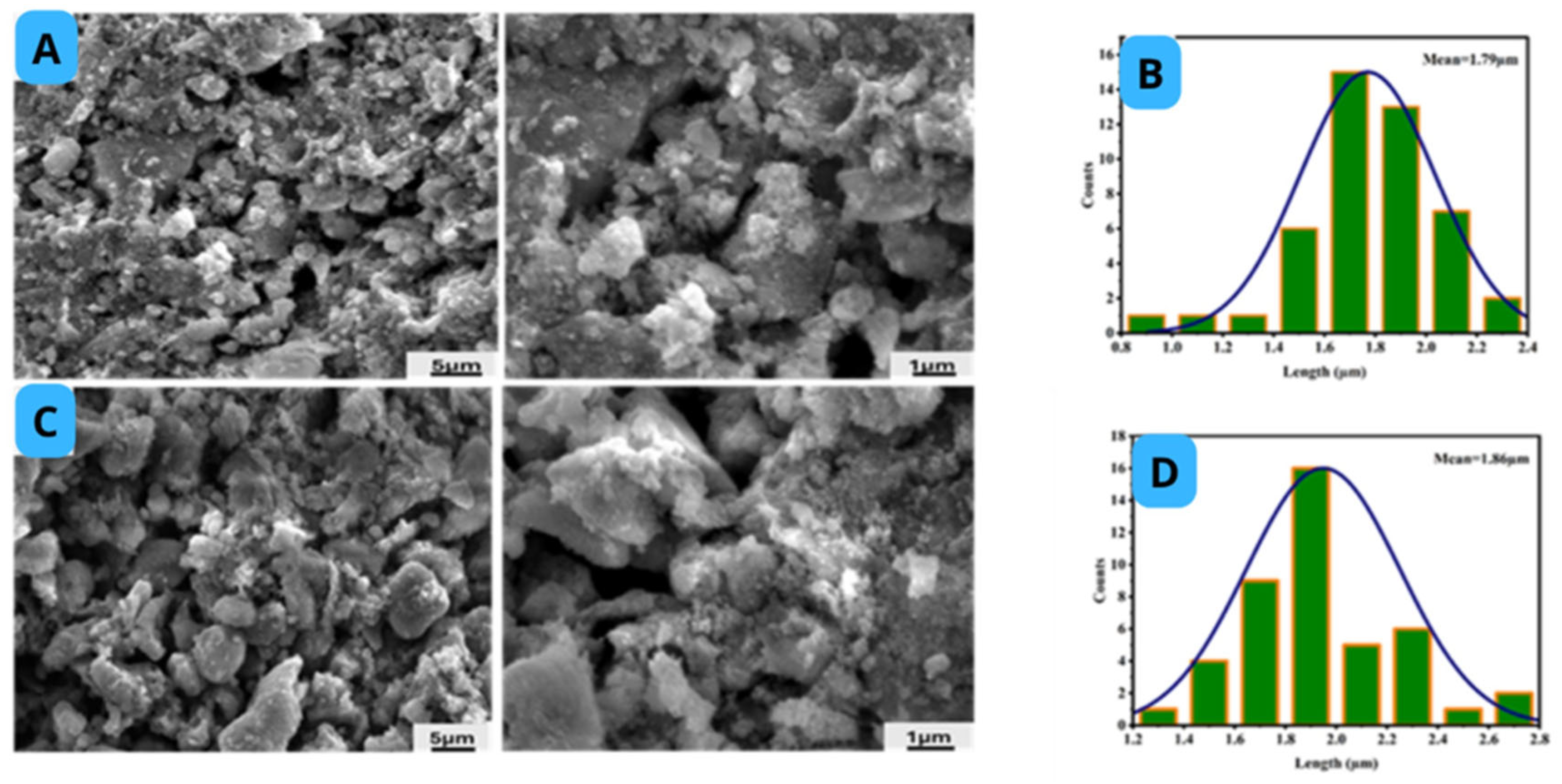 Catalysts 15 00631 g004