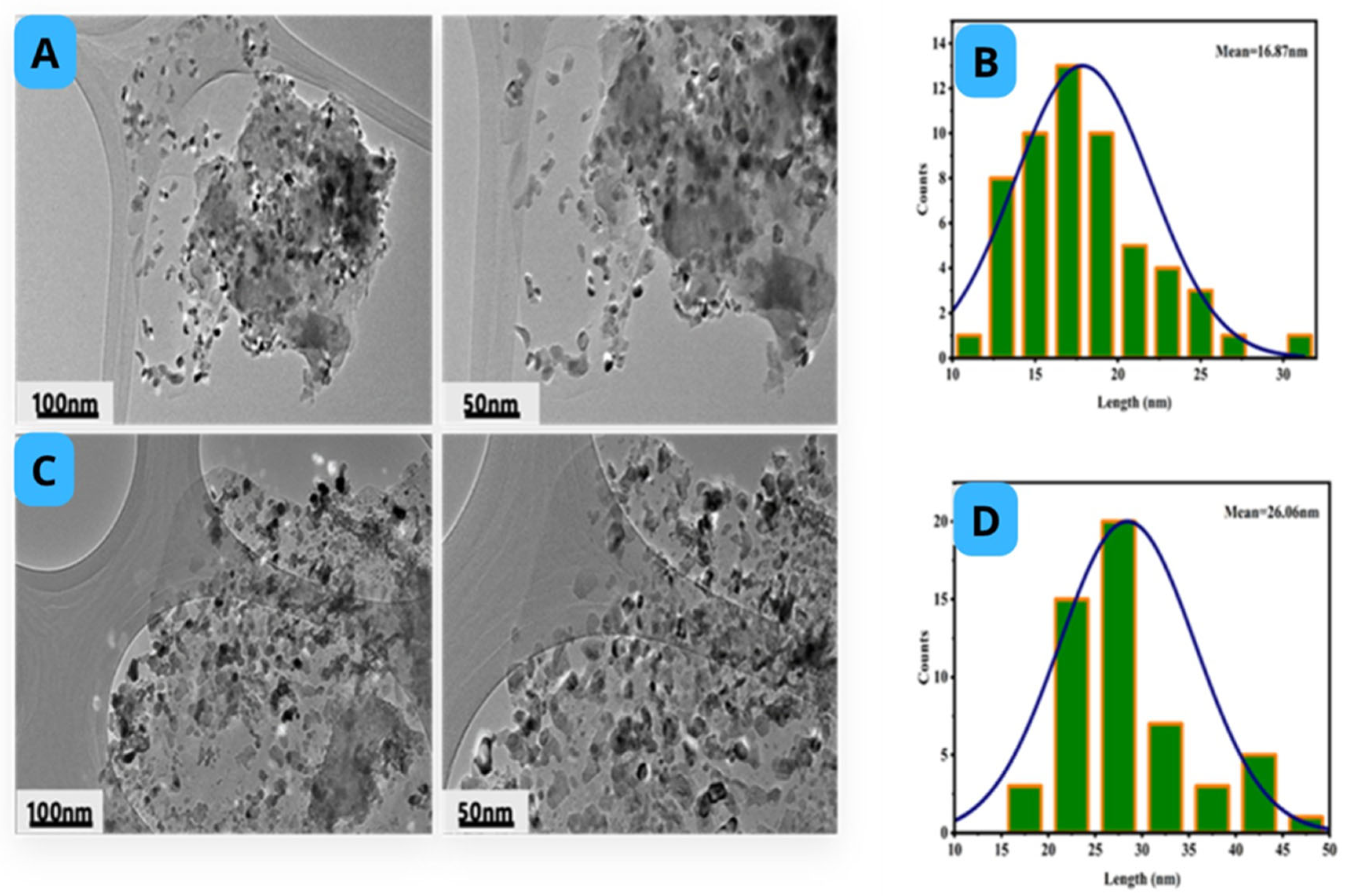 Catalysts 15 00631 g005
