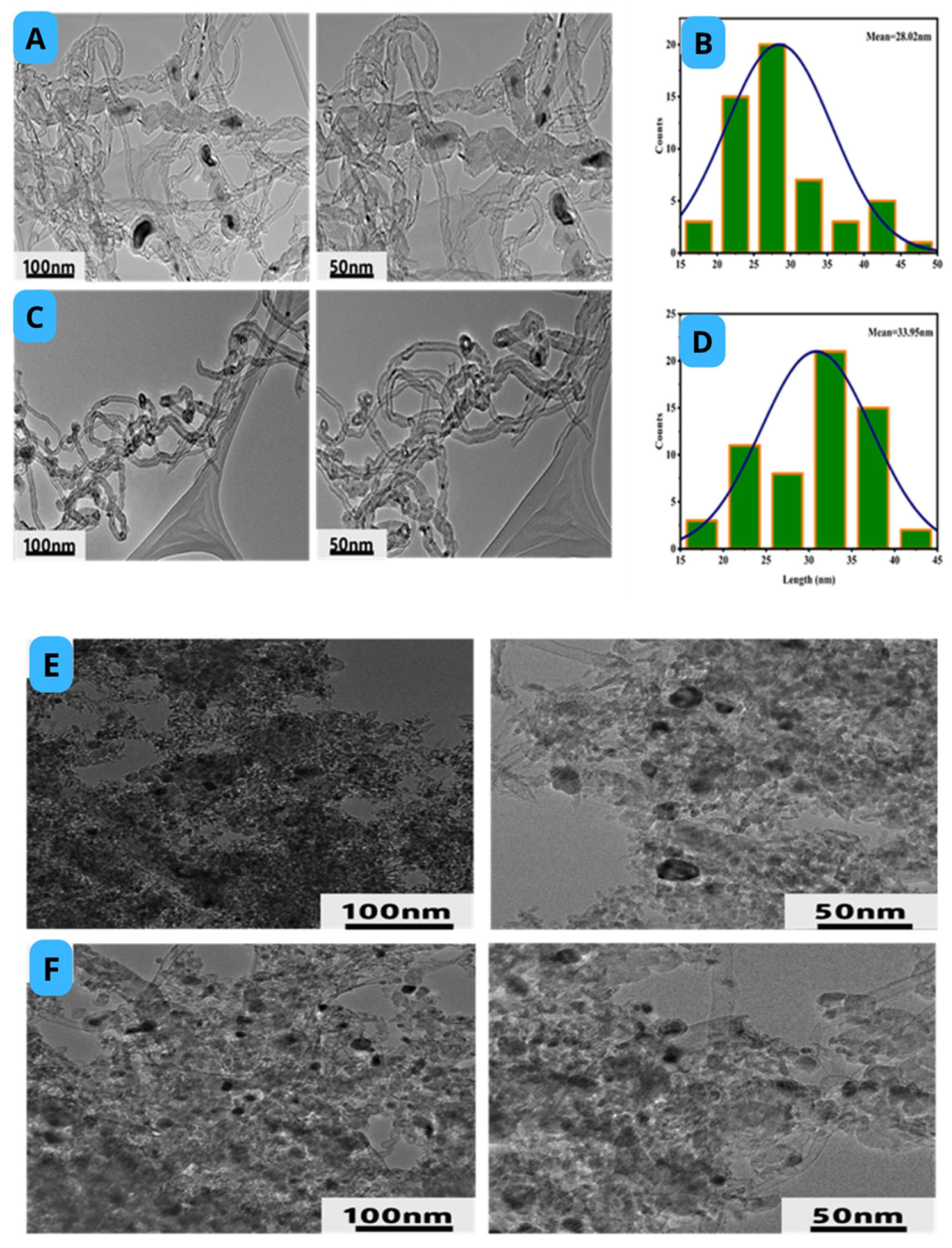 Catalysts 15 00631 g012