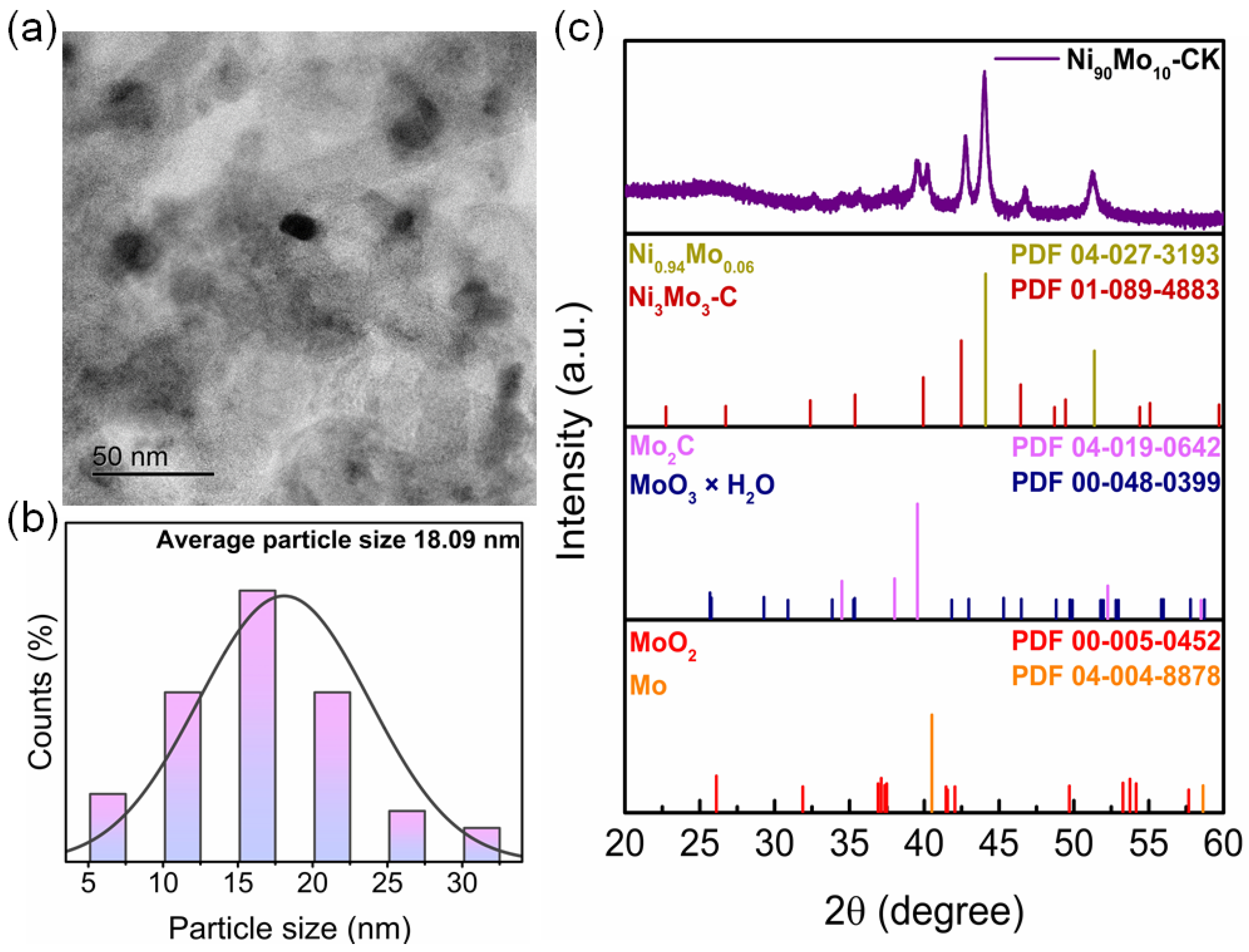 Catalysts 15 00633 g007