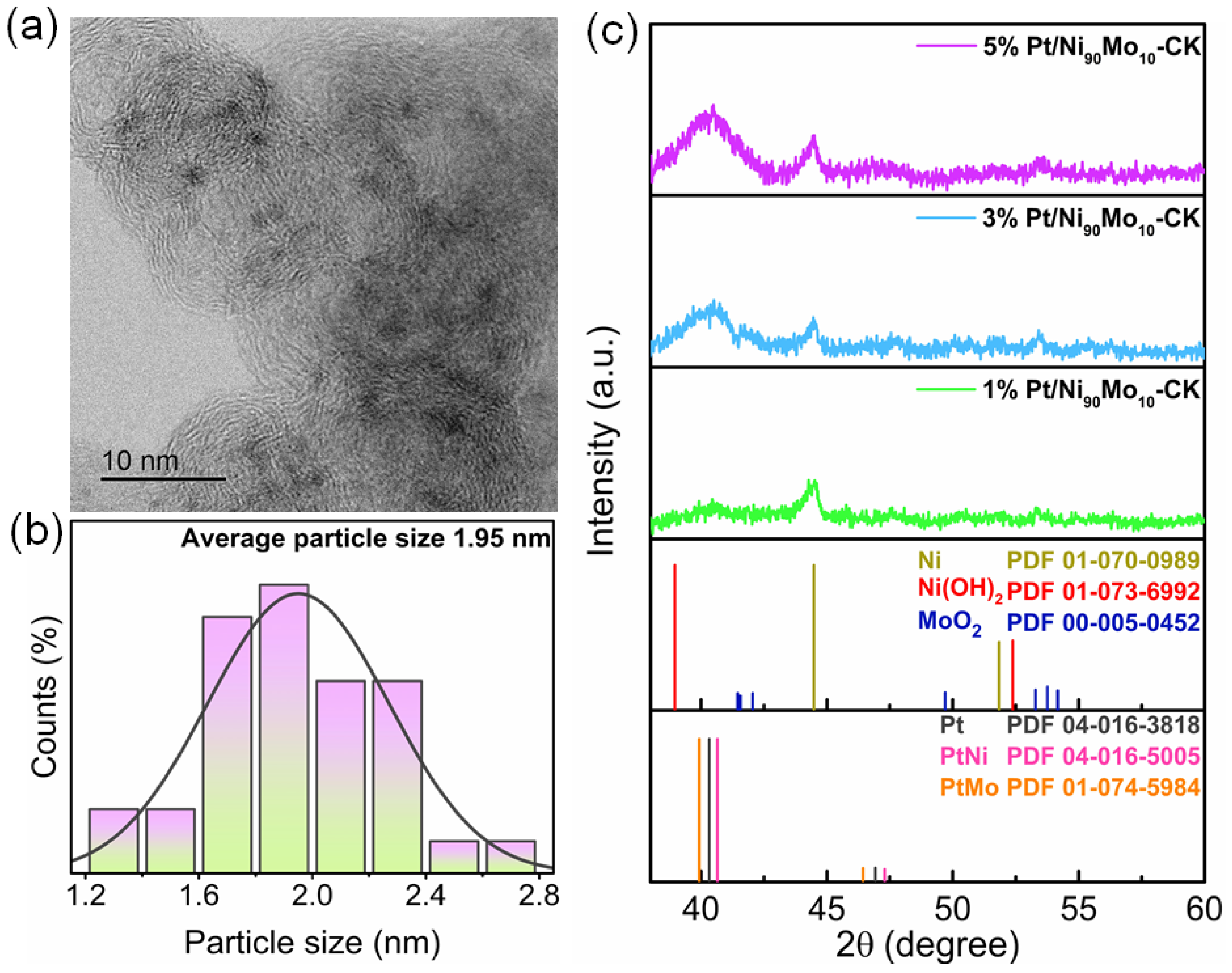 Catalysts 15 00633 g008