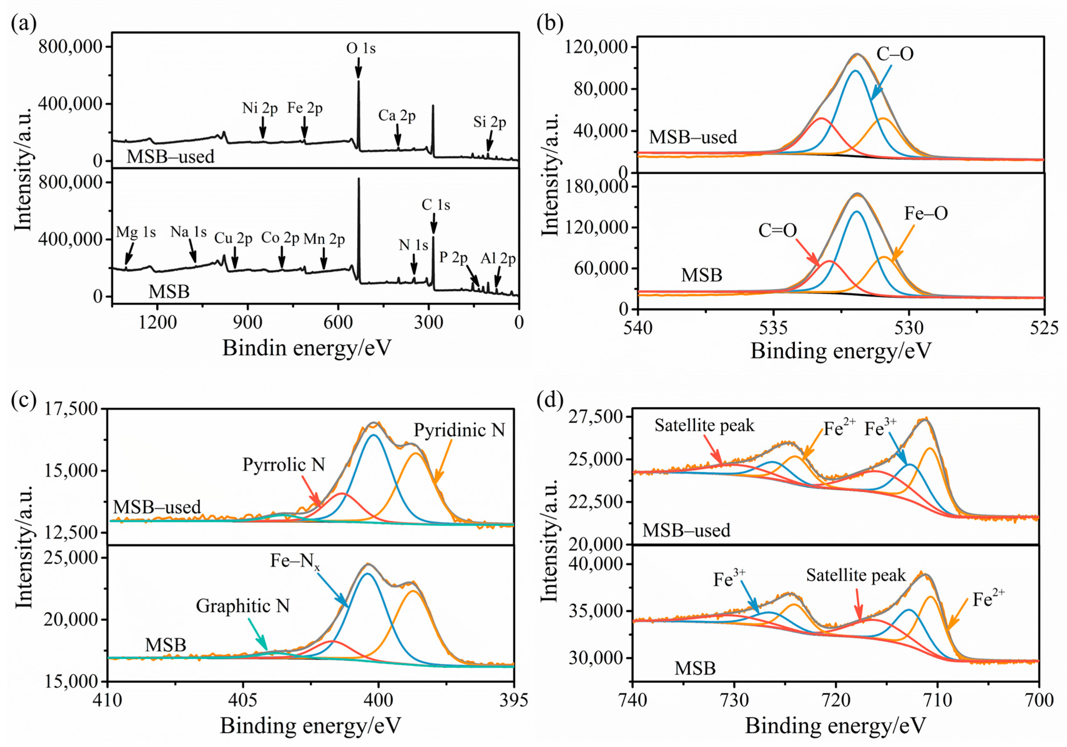 Catalysts 15 00637 g003