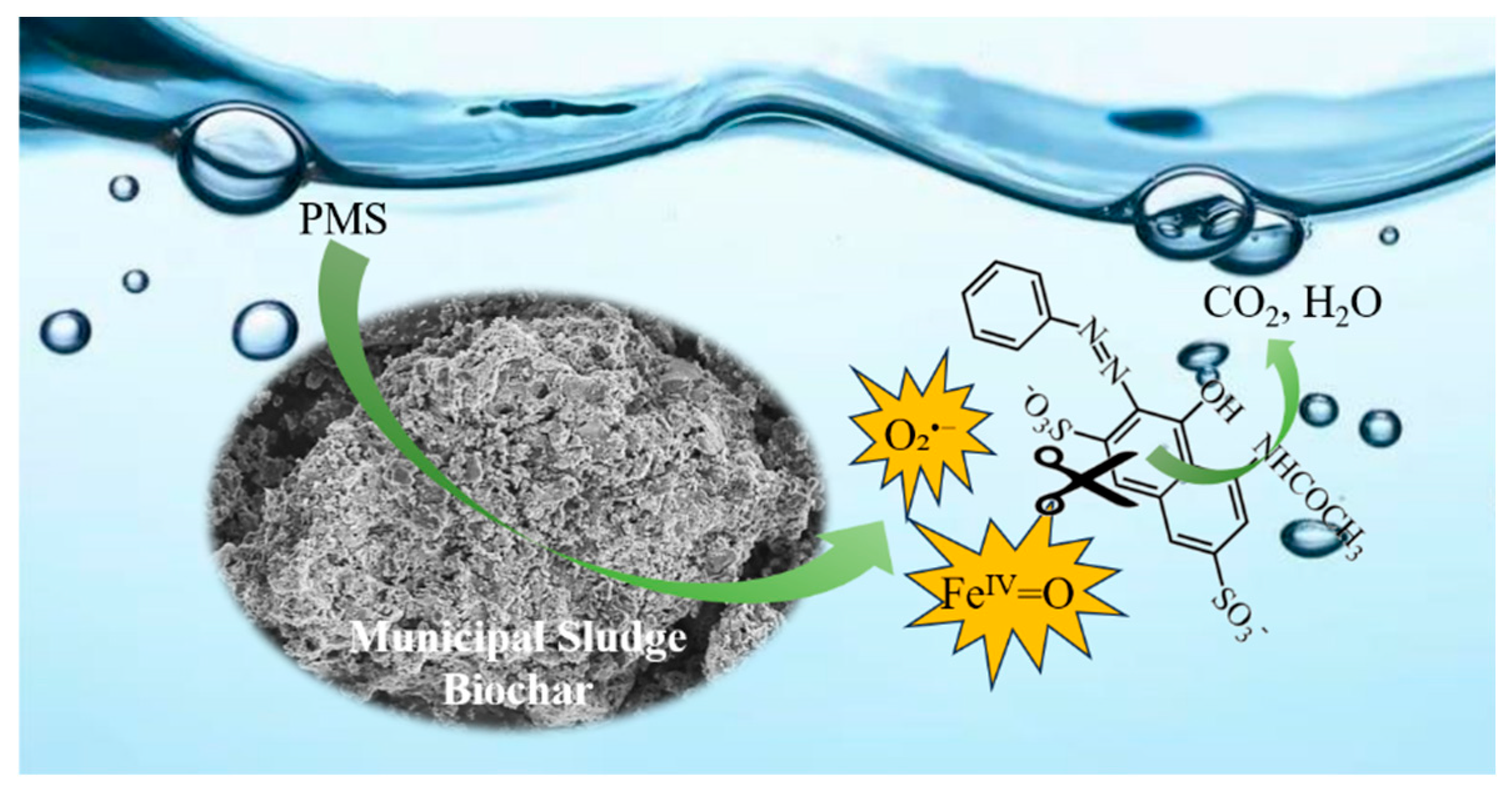 Catalysts 15 00637 g009