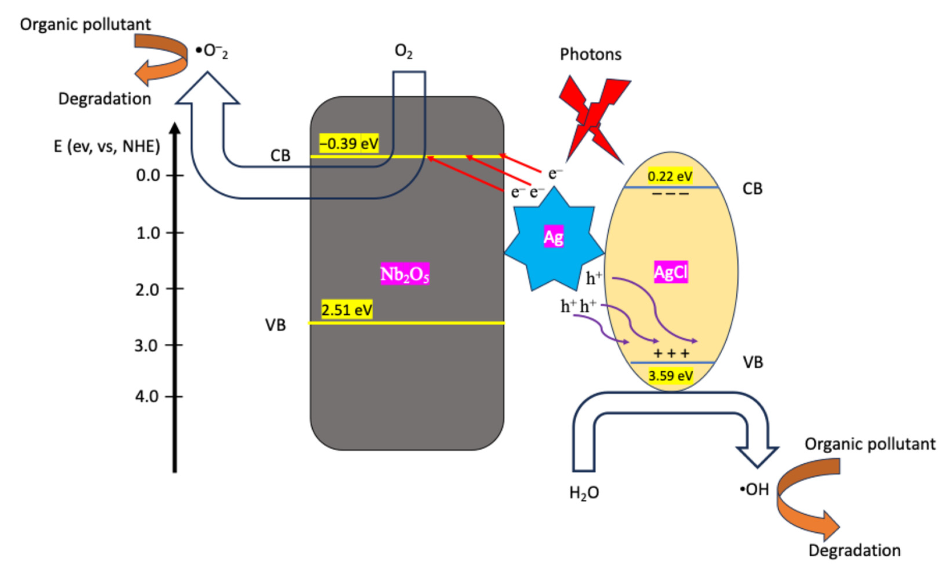 Catalysts 15 00638 g013