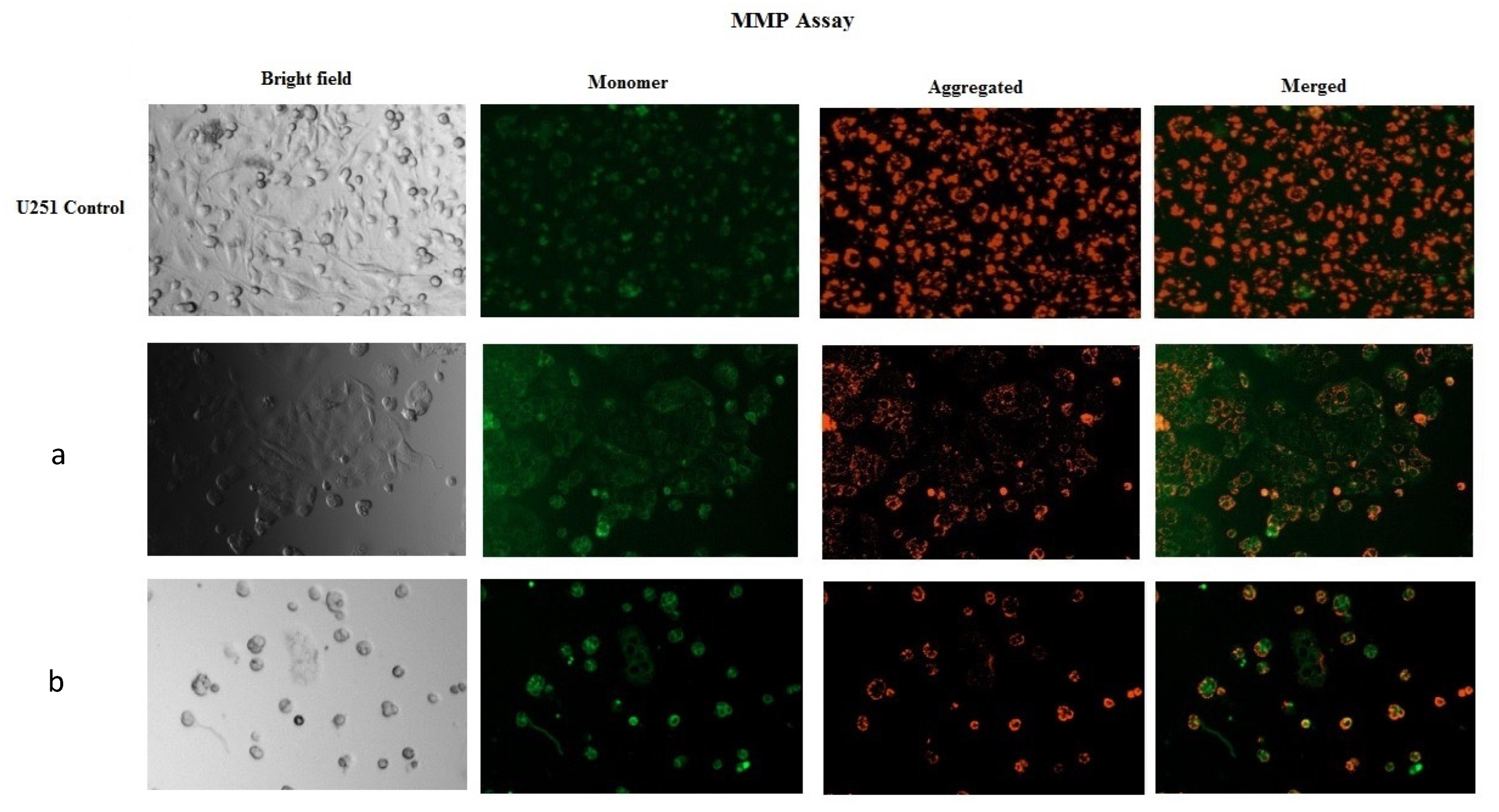 Catalysts 15 00638 g015