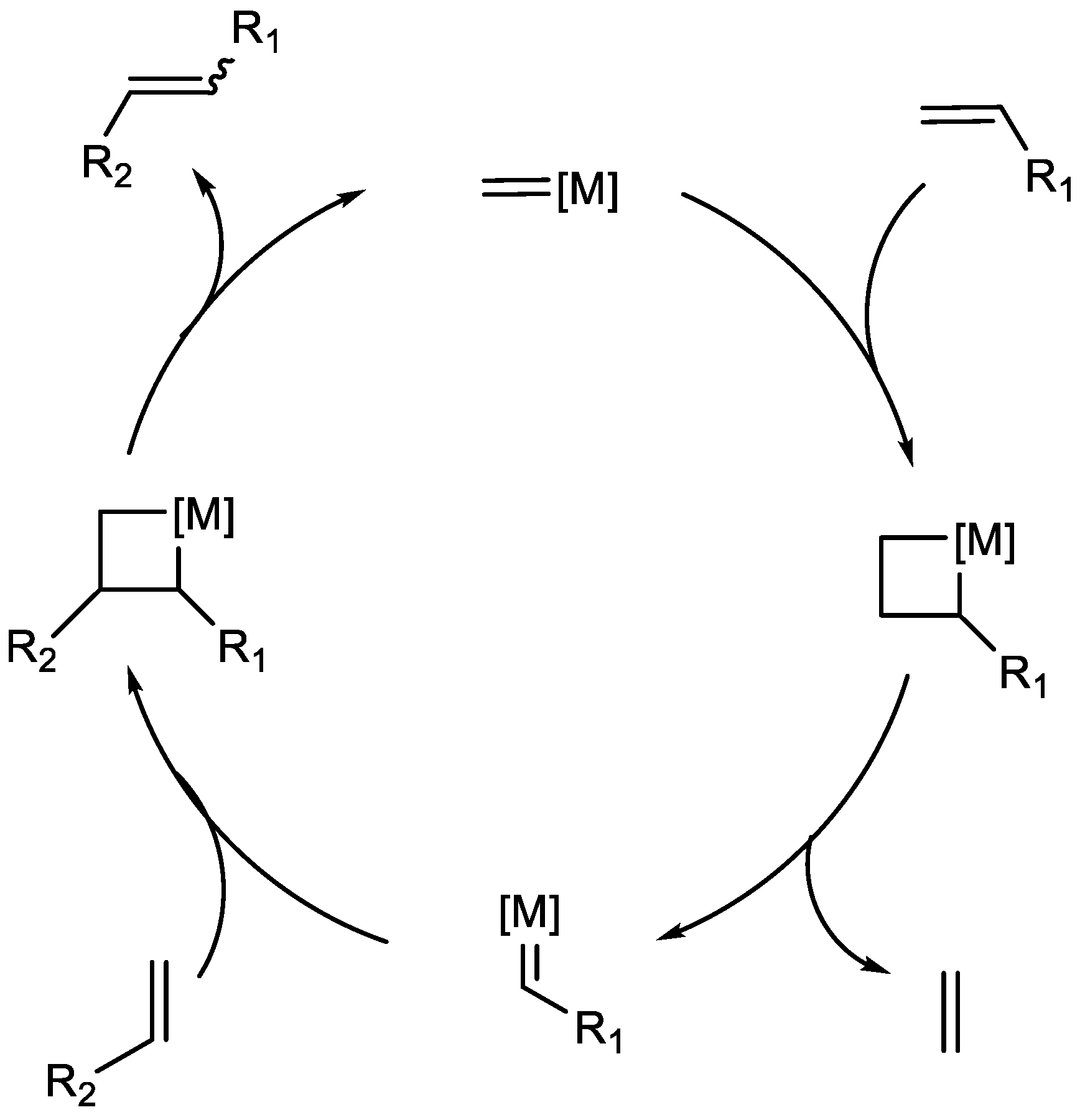 Catalysts 15 00639 sch003