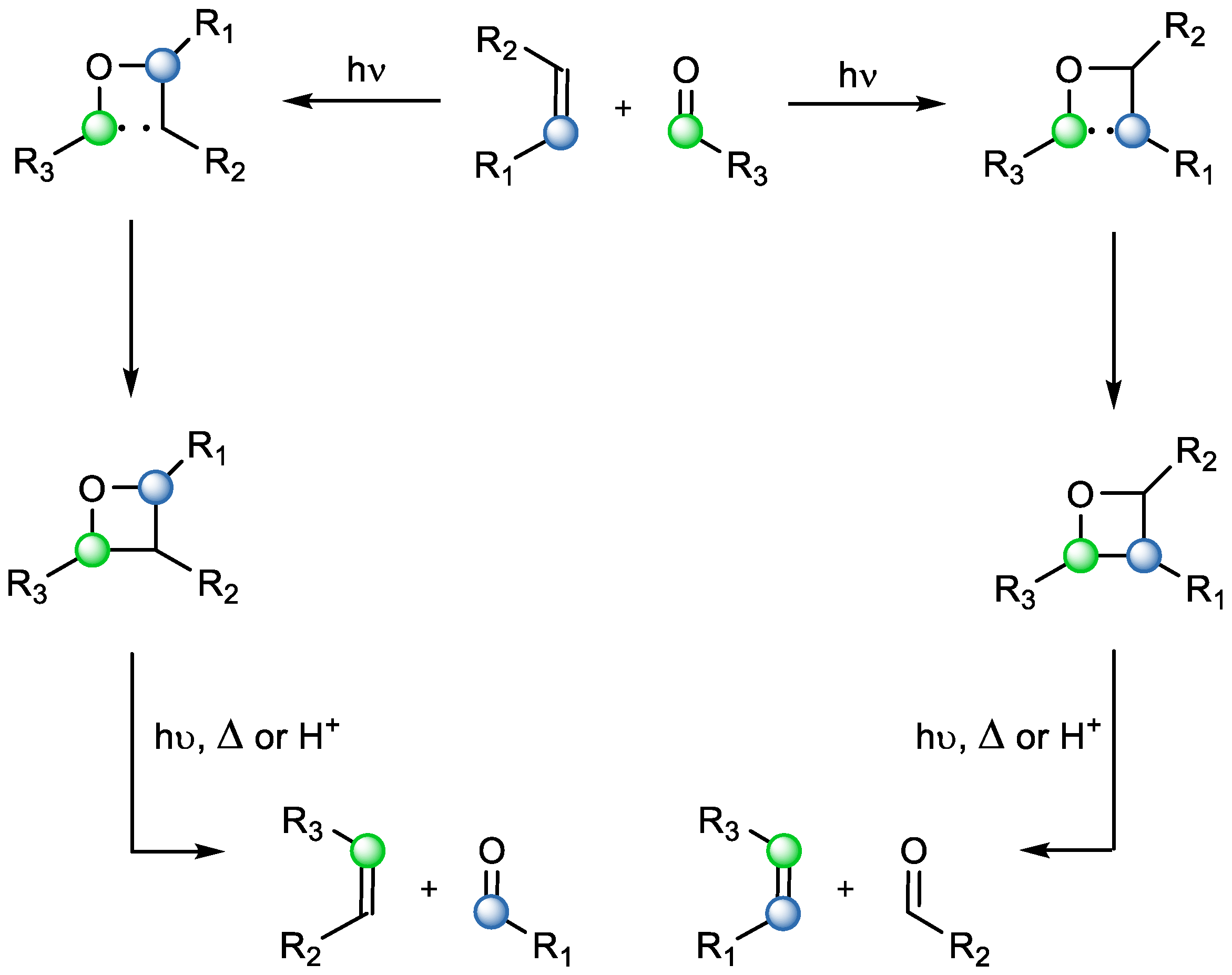 Catalysts 15 00639 sch007
