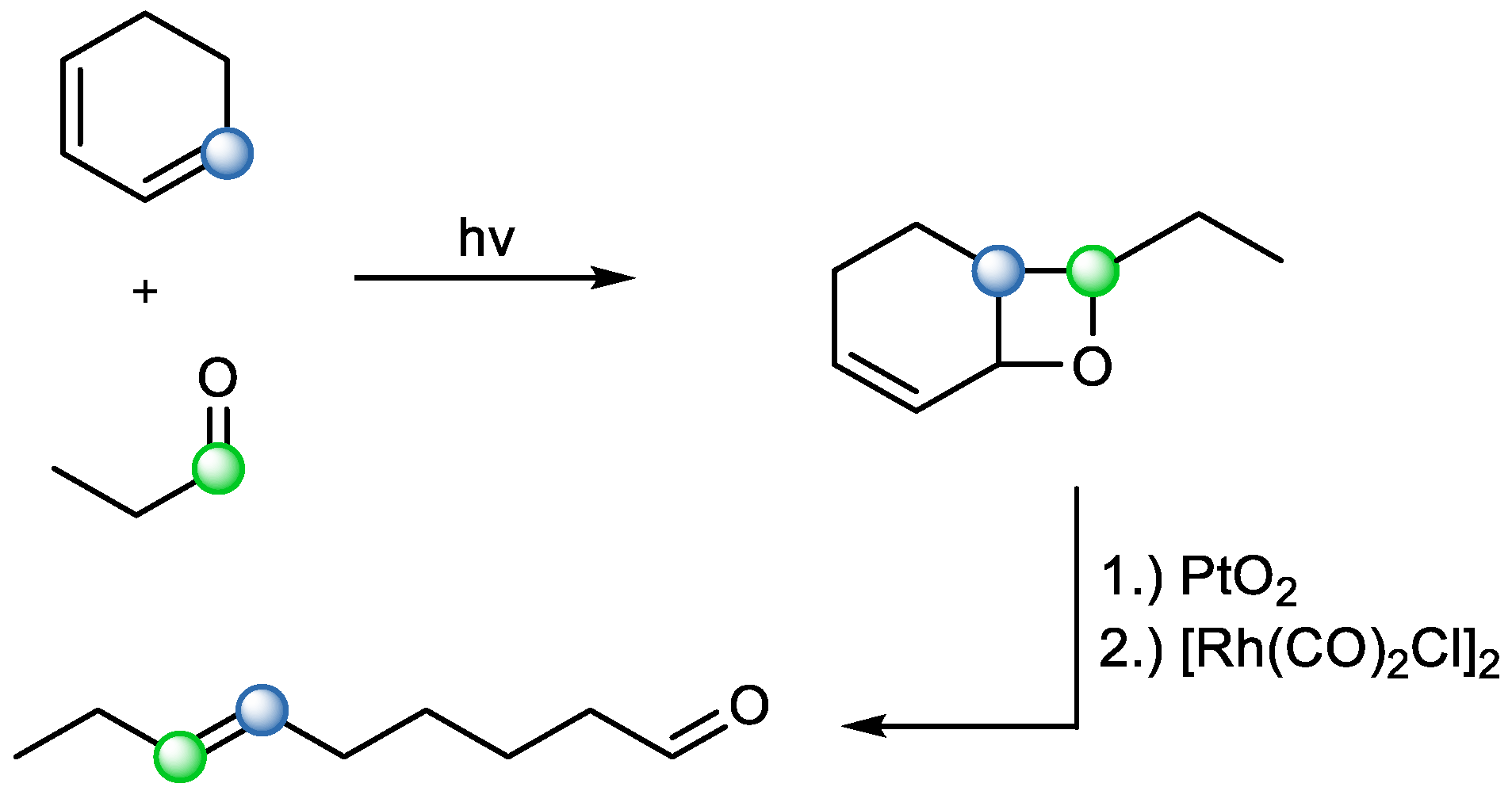 Catalysts 15 00639 sch008