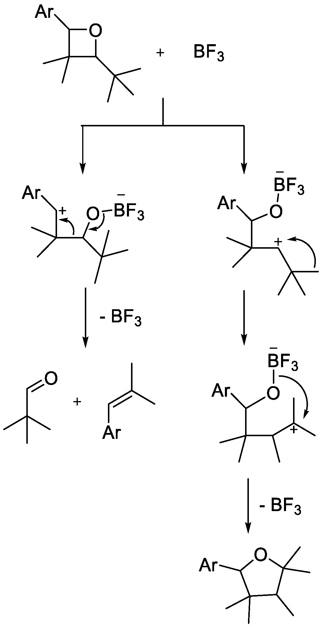 Catalysts 15 00639 sch009