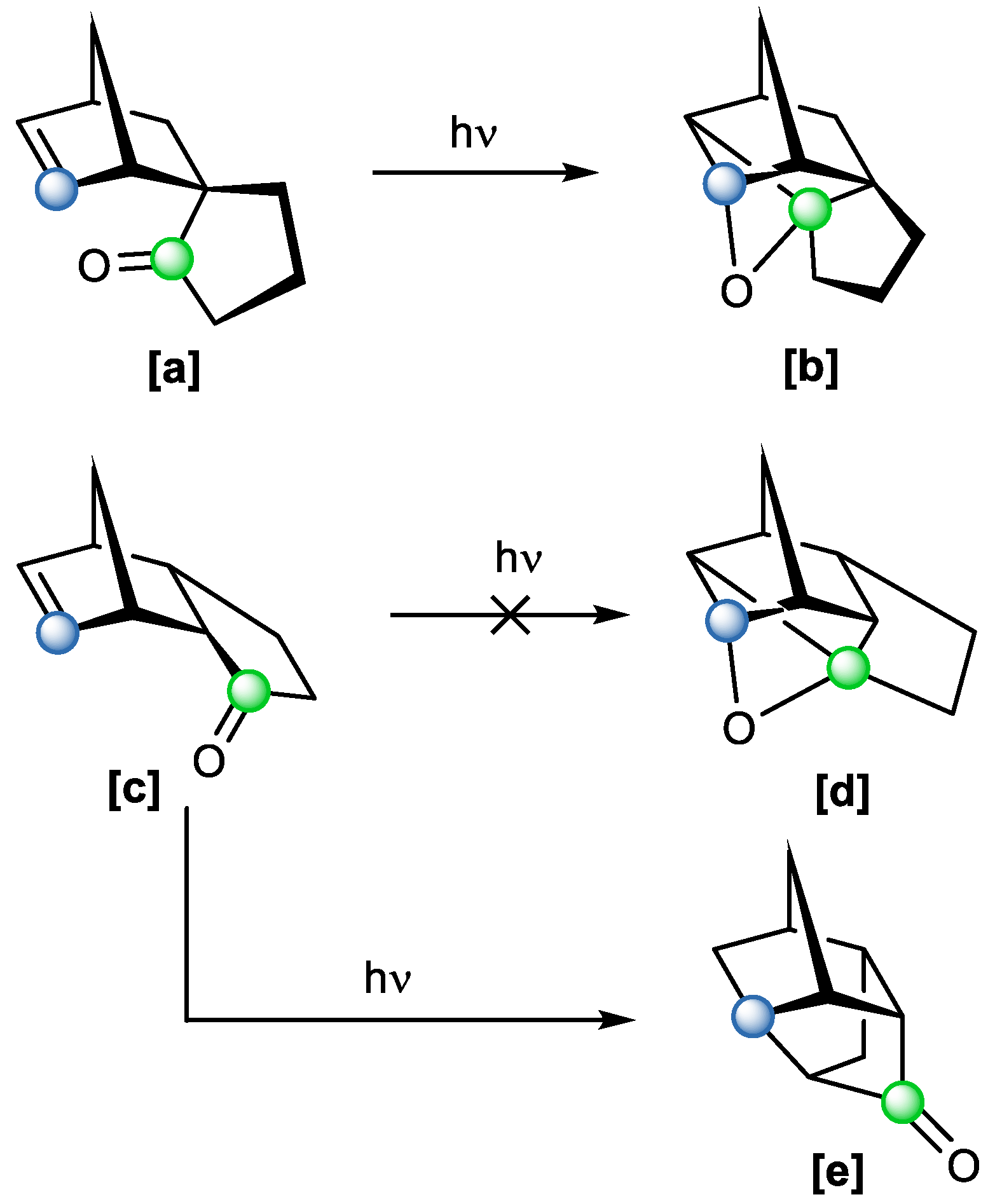 Catalysts 15 00639 sch011