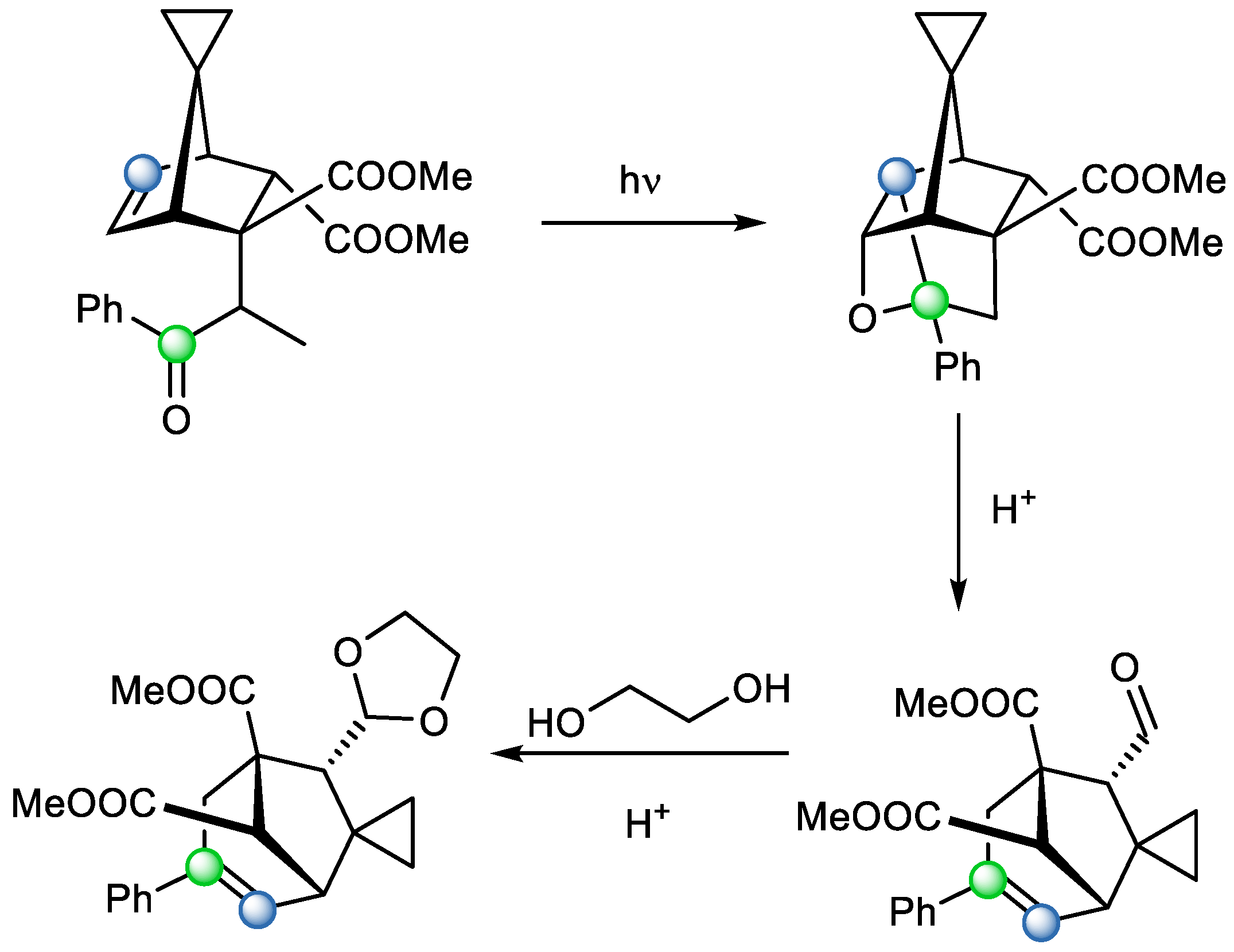 Catalysts 15 00639 sch012