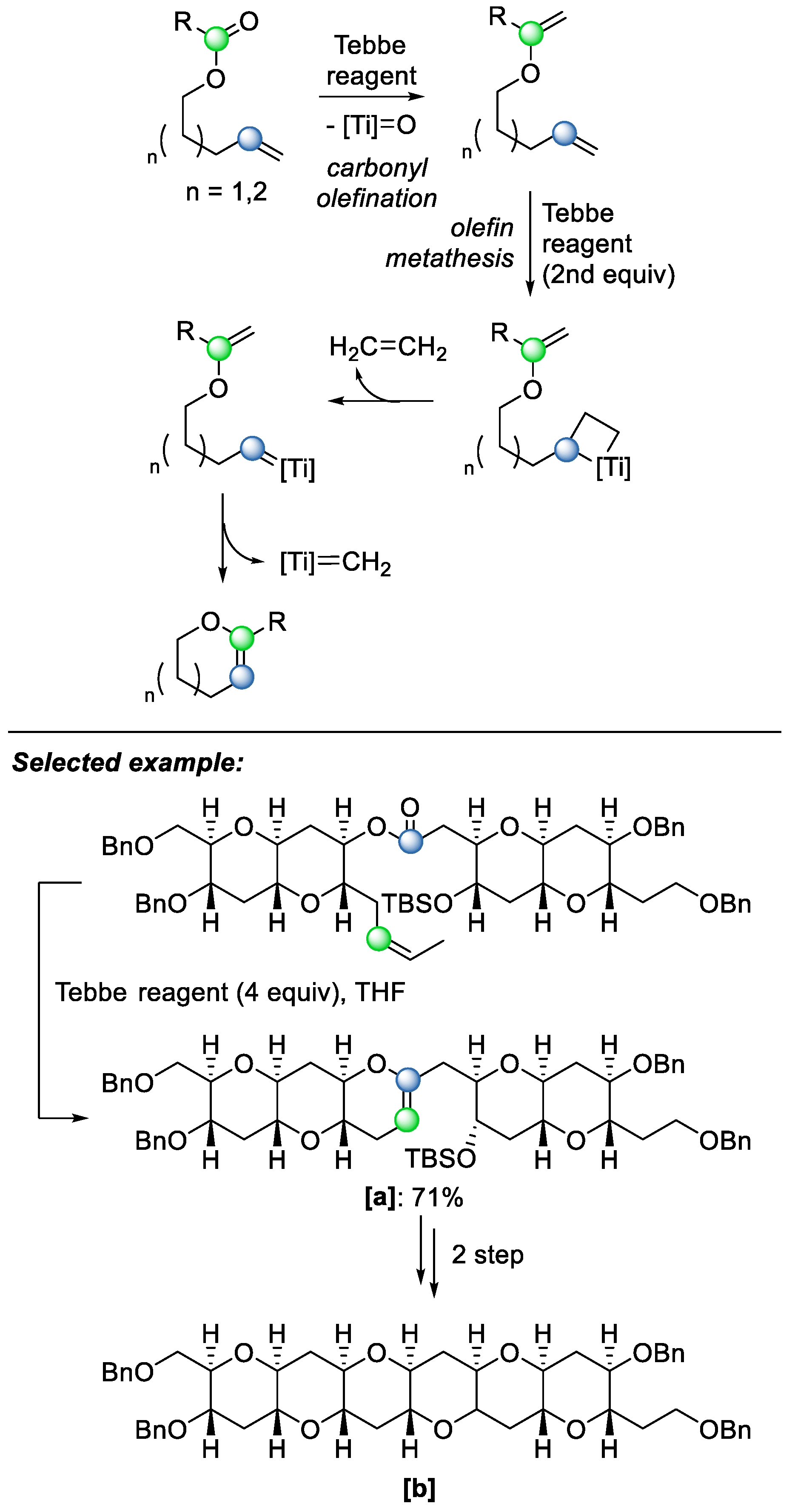 Catalysts 15 00639 sch019