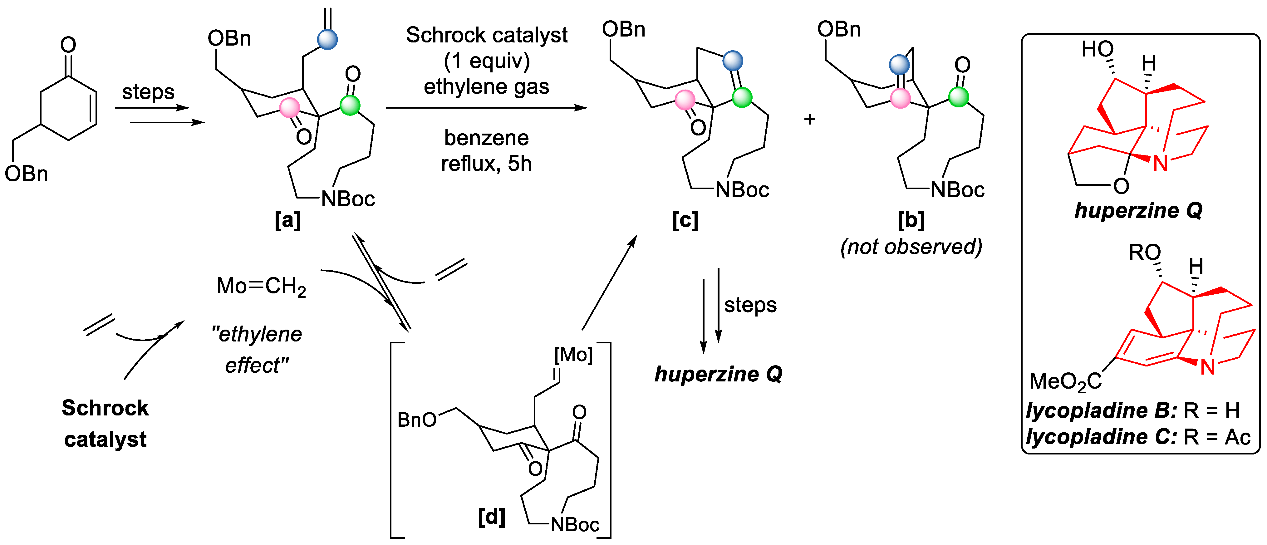 Catalysts 15 00639 sch023