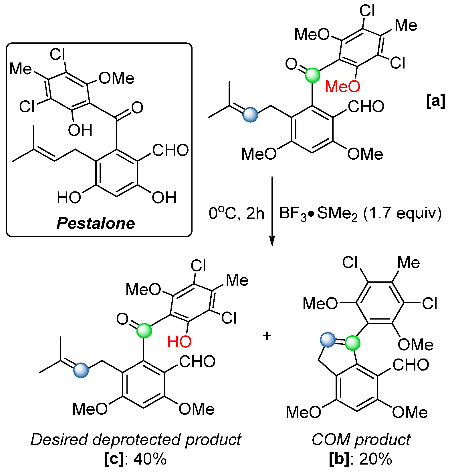 Catalysts 15 00639 sch030