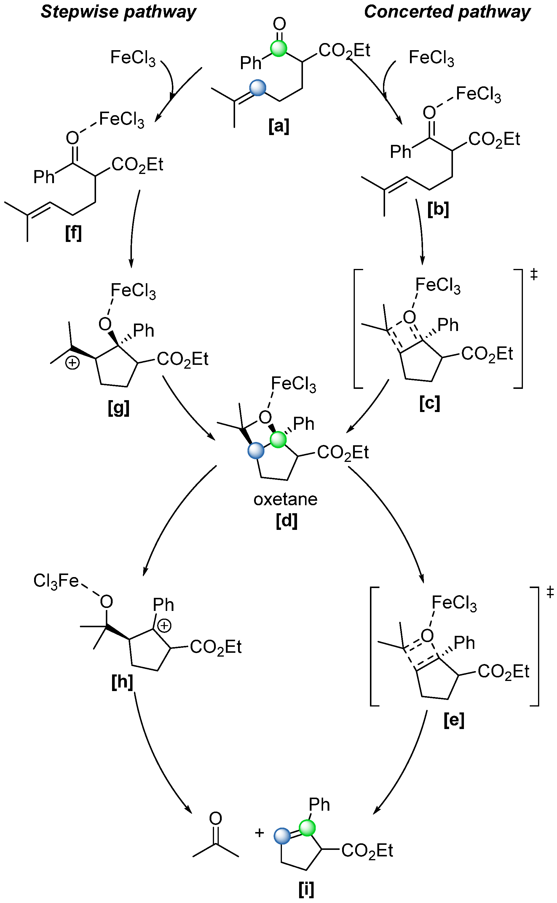 Catalysts 15 00639 sch034
