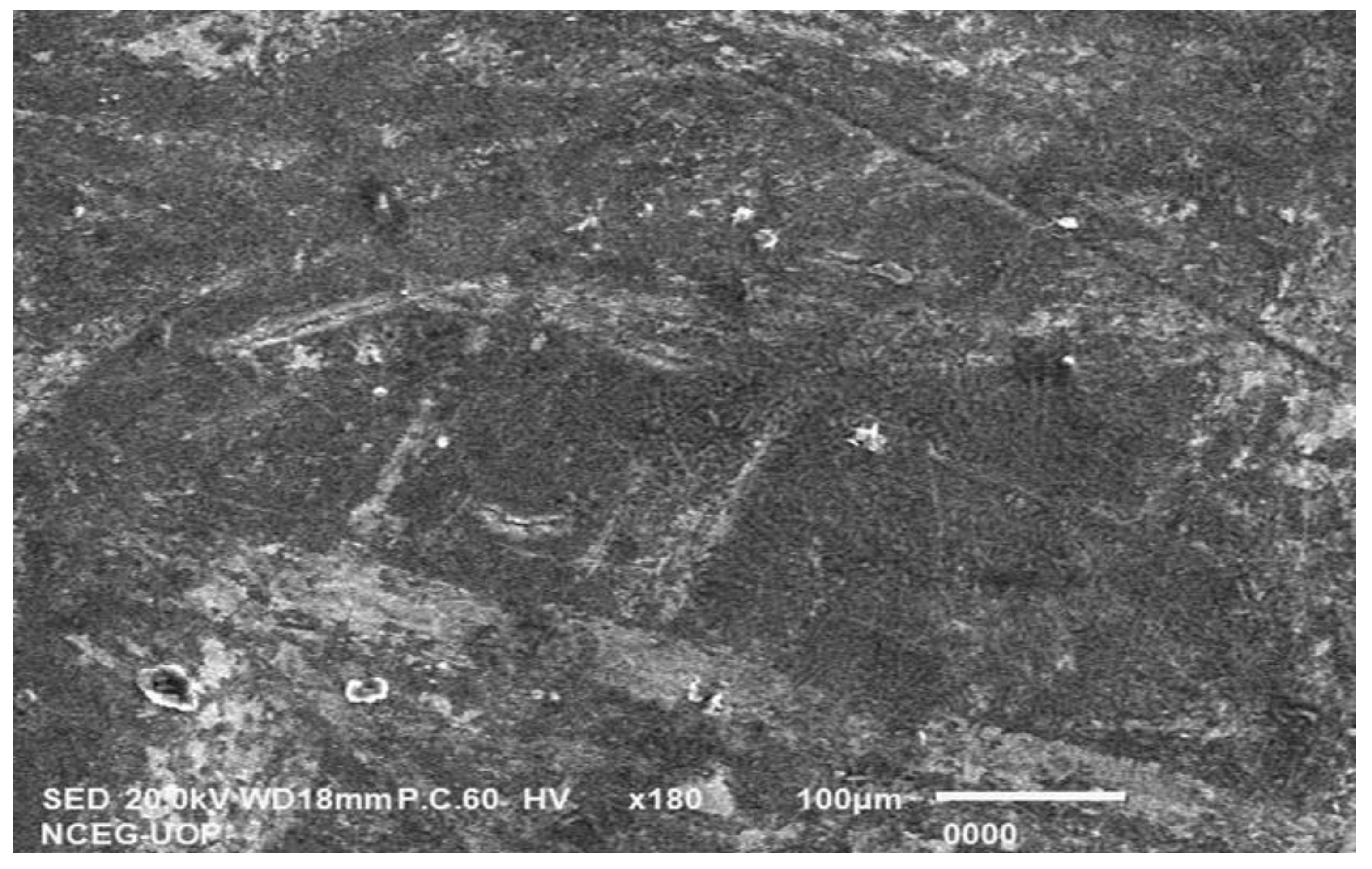 Catalysts 15 00642 g002