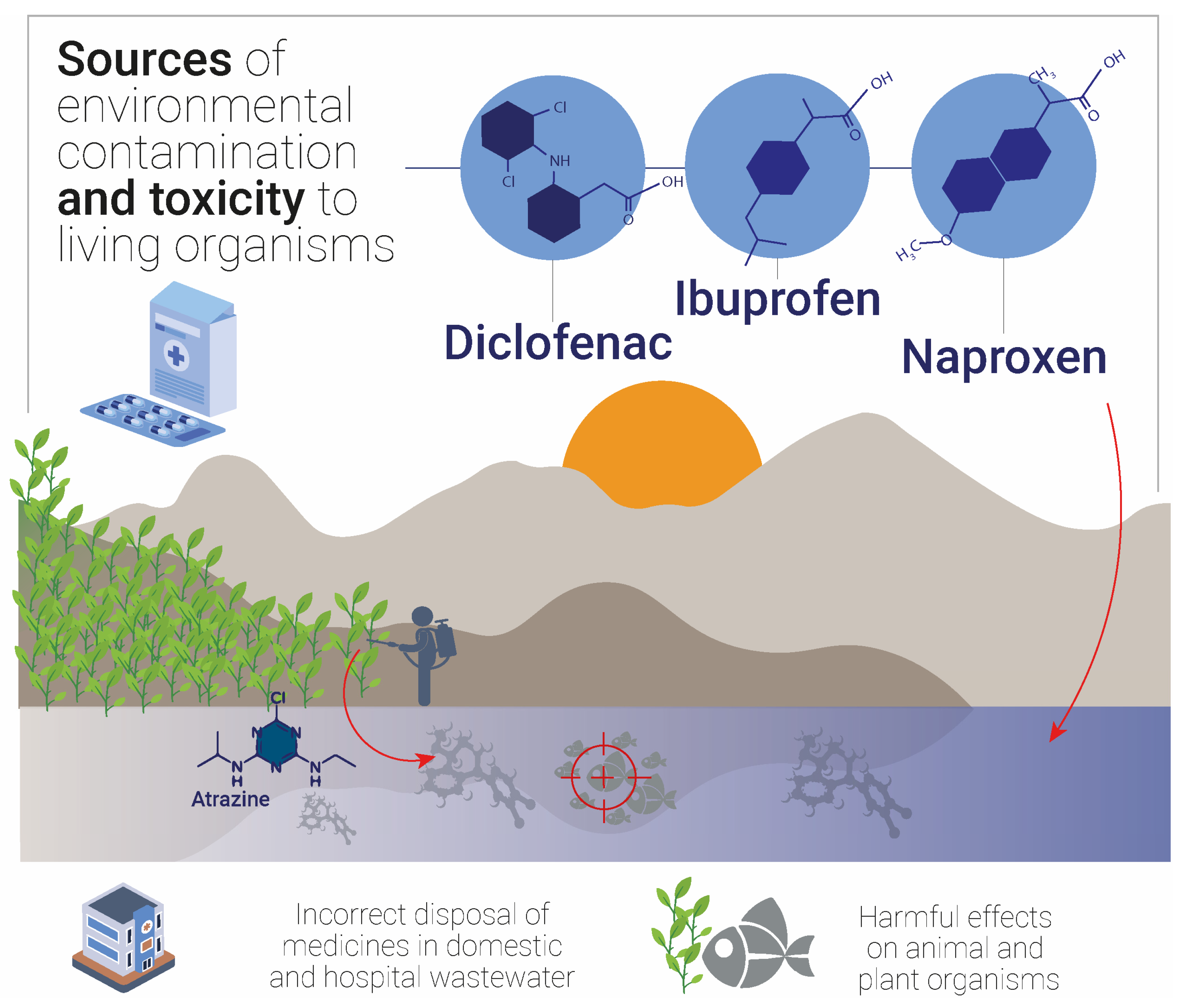Catalysts 15 00643 g002