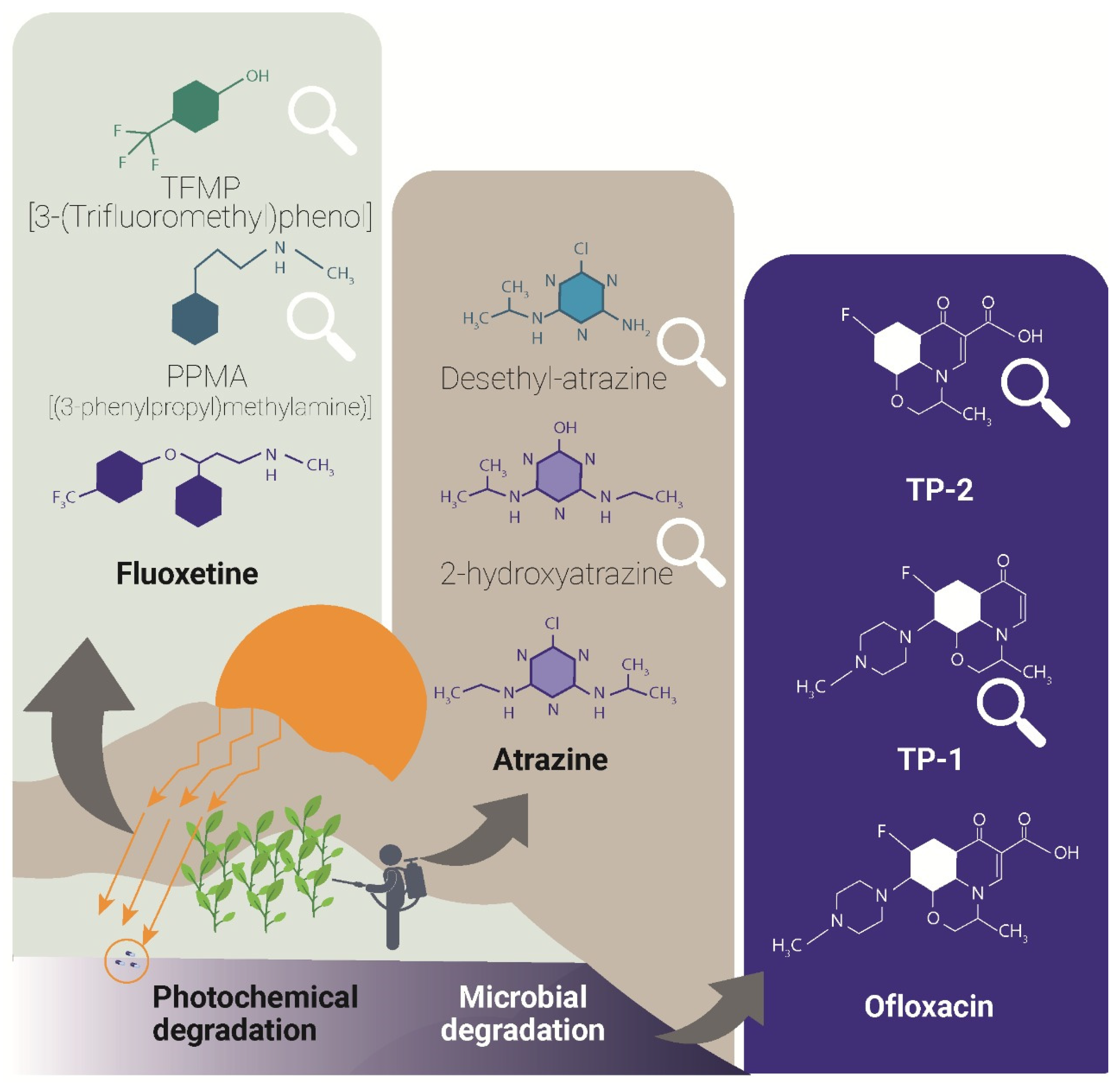 Catalysts 15 00643 g003