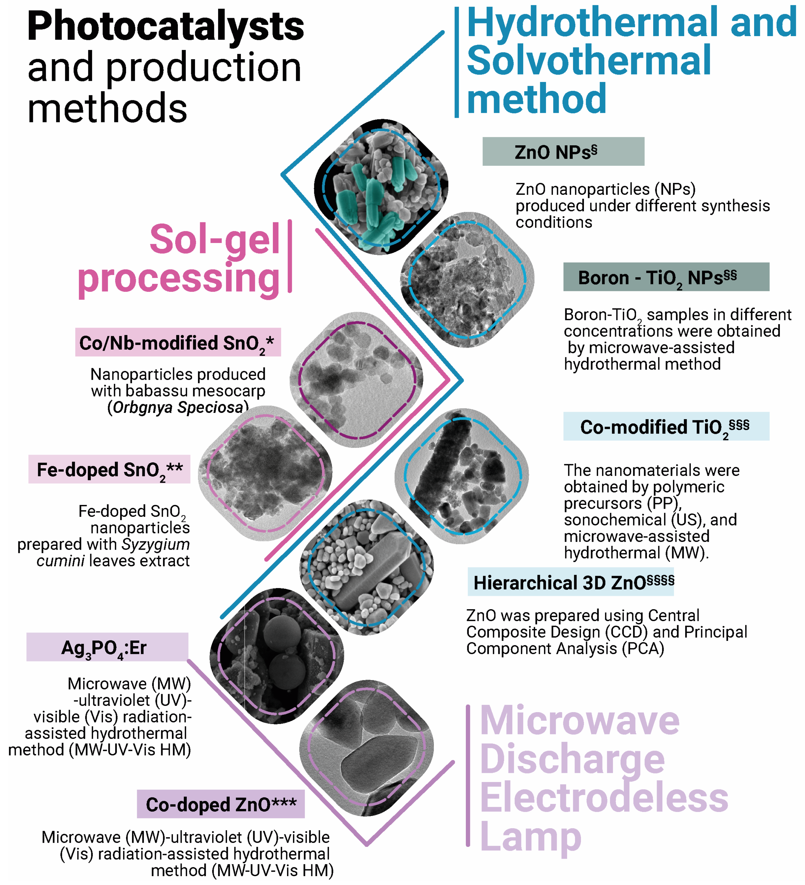 Catalysts 15 00643 g005
