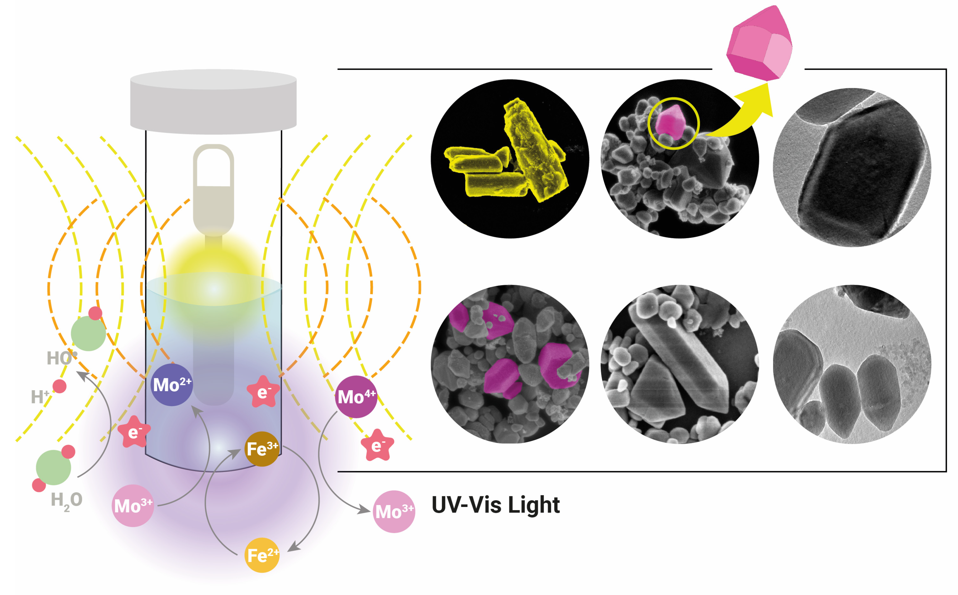 Catalysts 15 00643 g007